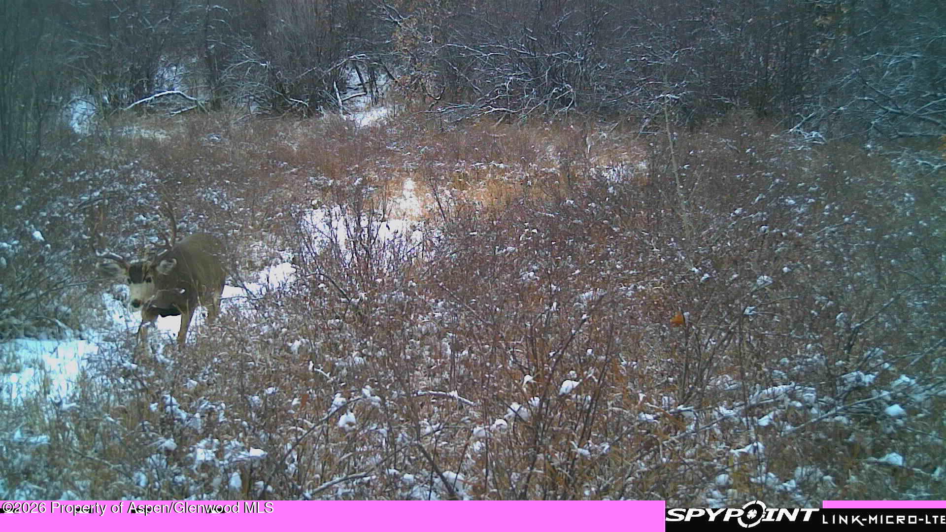 Tbd County Road 313 Silt CO 81652
