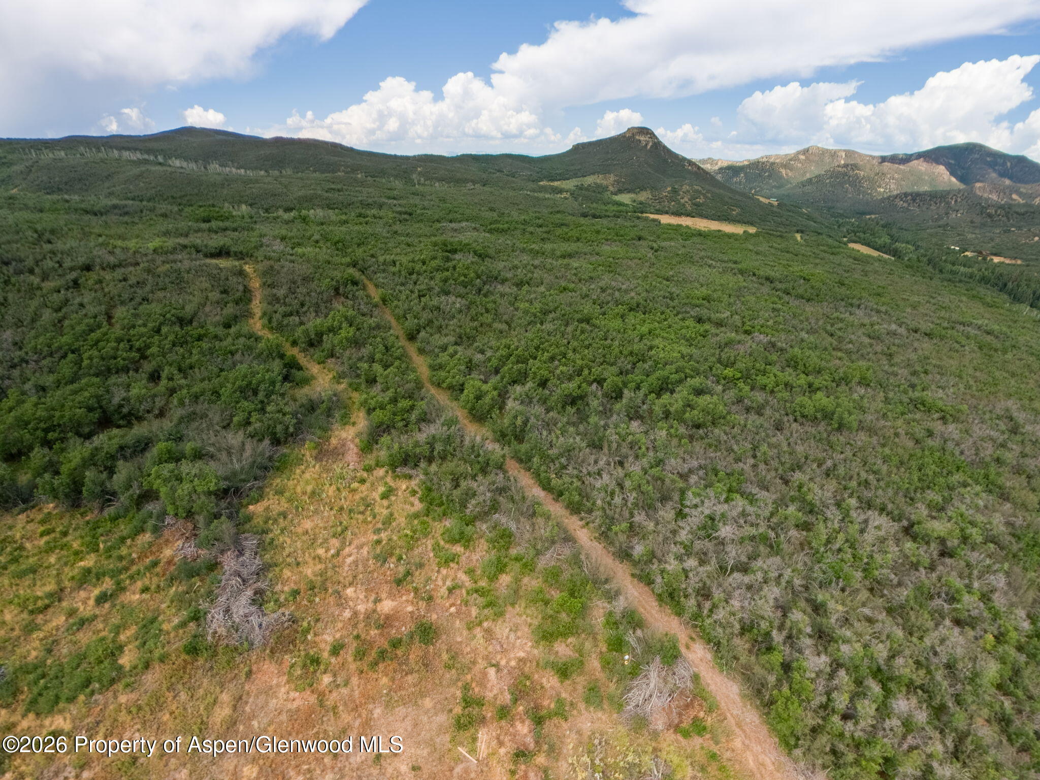 Tbd County Road 313 Silt CO 81652
