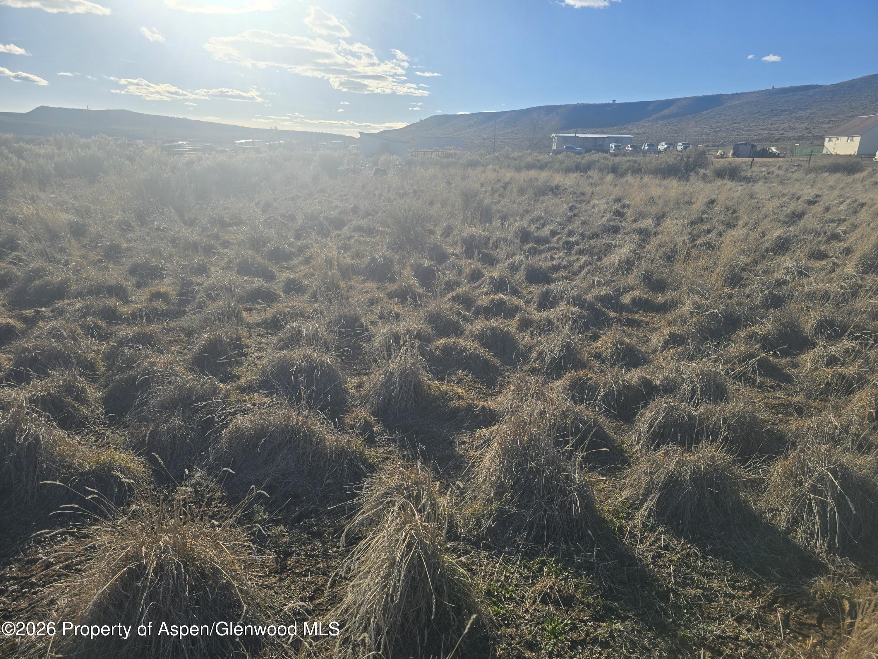 Tbd County Road 17 Craig CO 81625