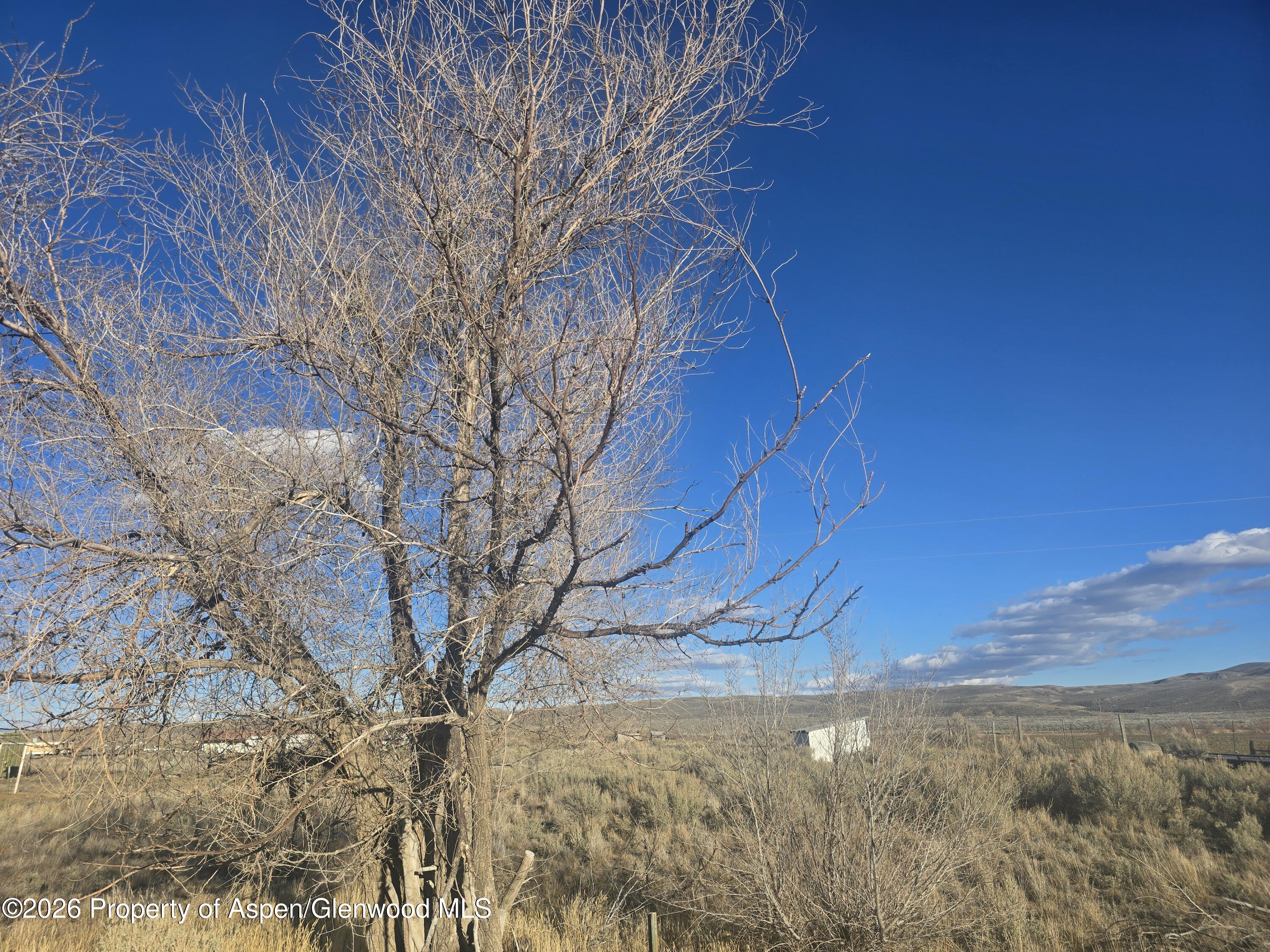 Tbd County Road 17 Craig CO 81625