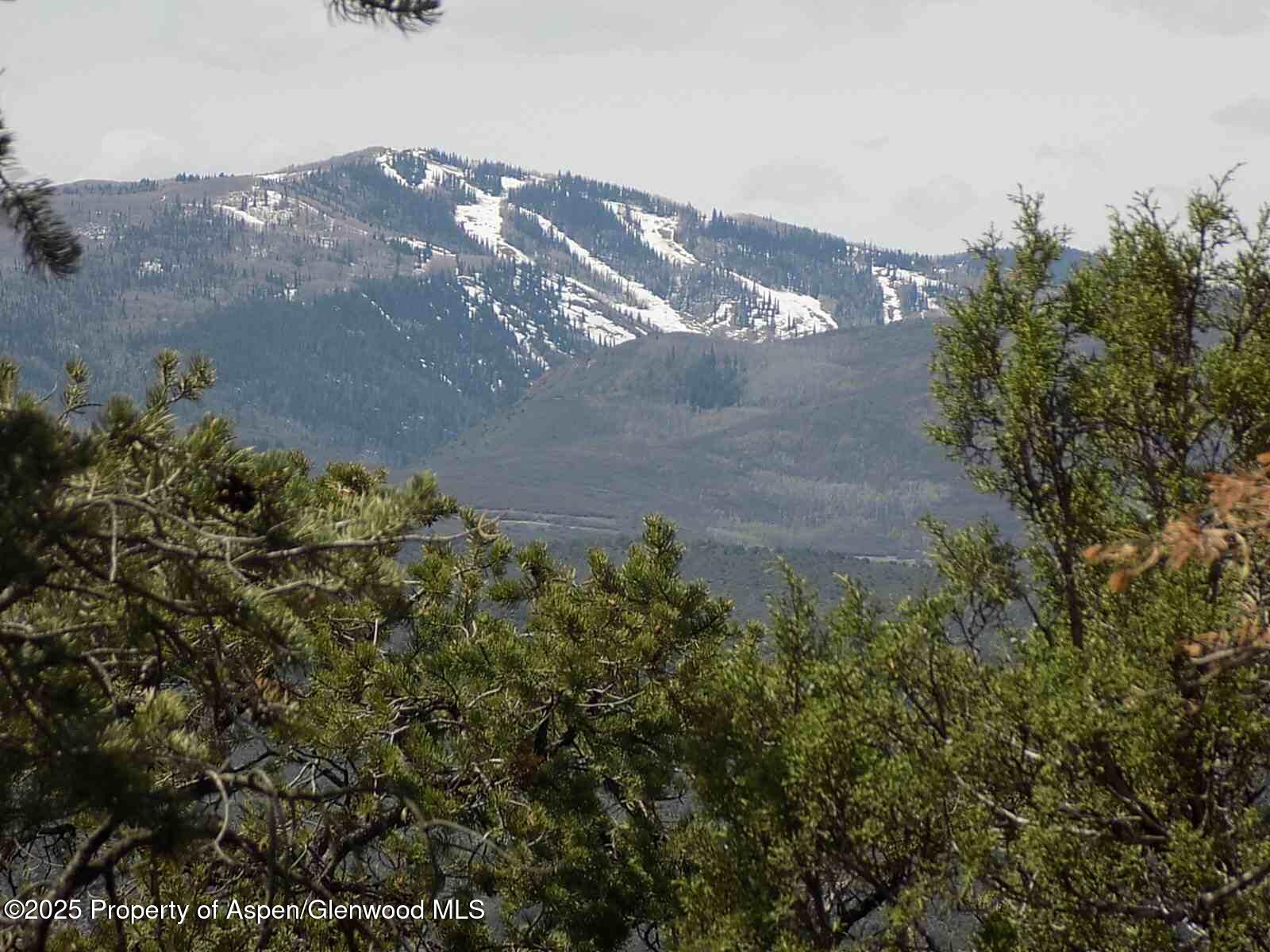 0066 Little Wood Lane Glenwood Springs CO 81601