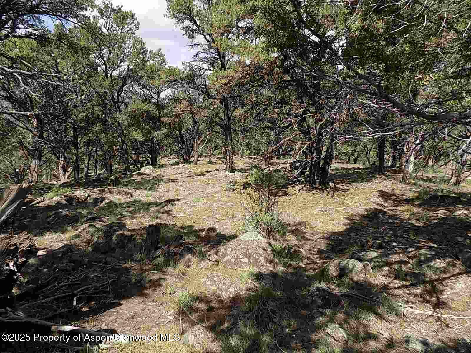 0066 Little Wood Lane Glenwood Springs CO 81601