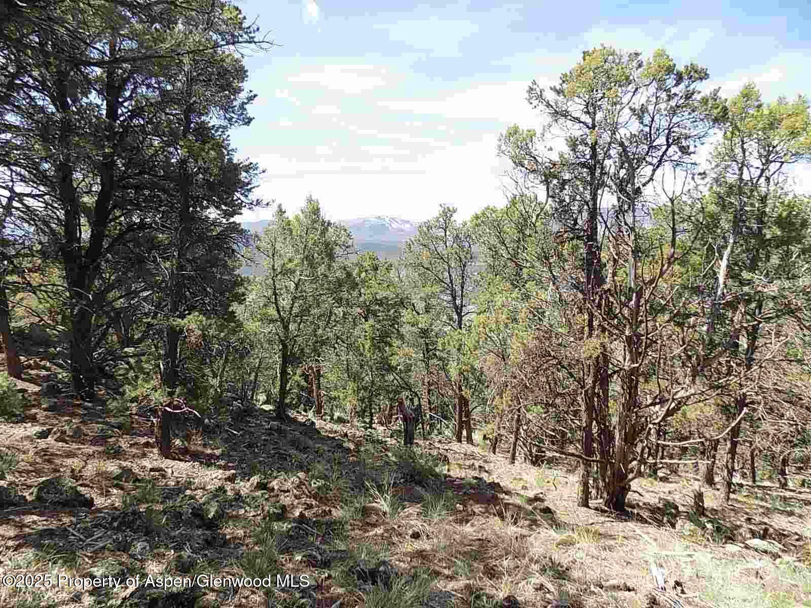 0066 Little Wood Lane Glenwood Springs CO 81601