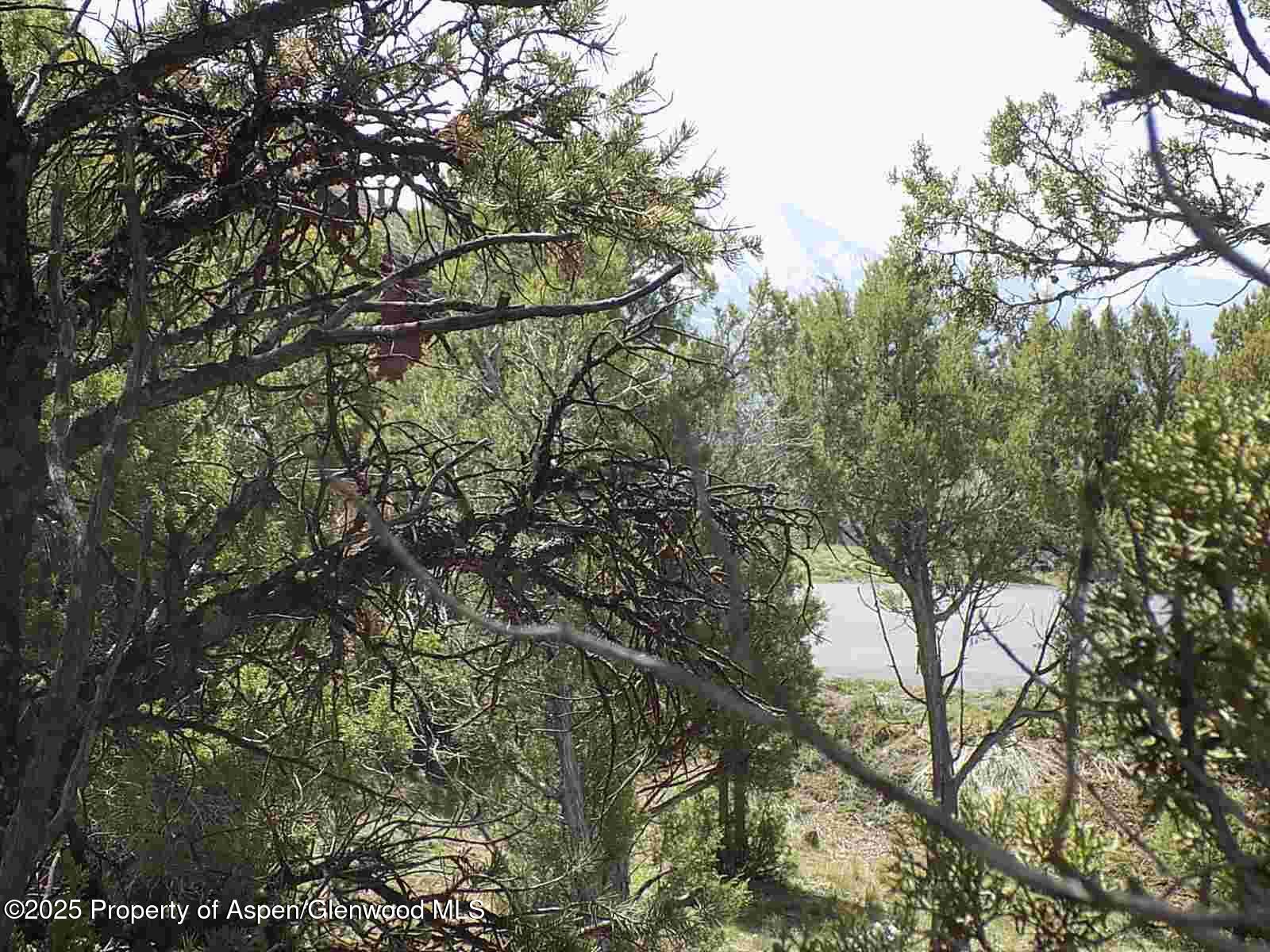 0066 Little Wood Lane Glenwood Springs CO 81601