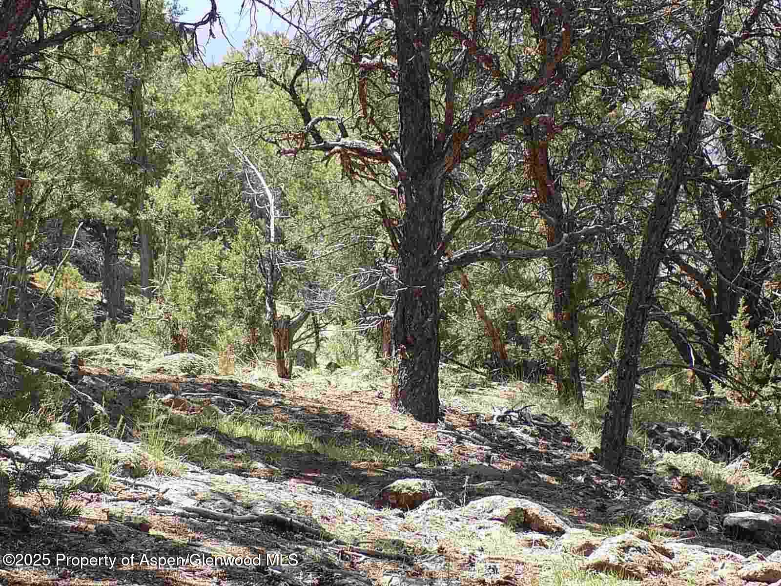 0066 Little Wood Lane Glenwood Springs CO 81601