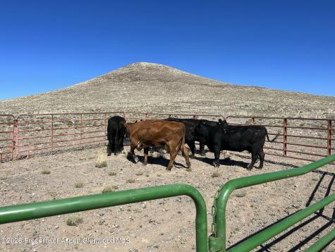 Tbd Costilla County Parcel #400022 Blanca CO 81123