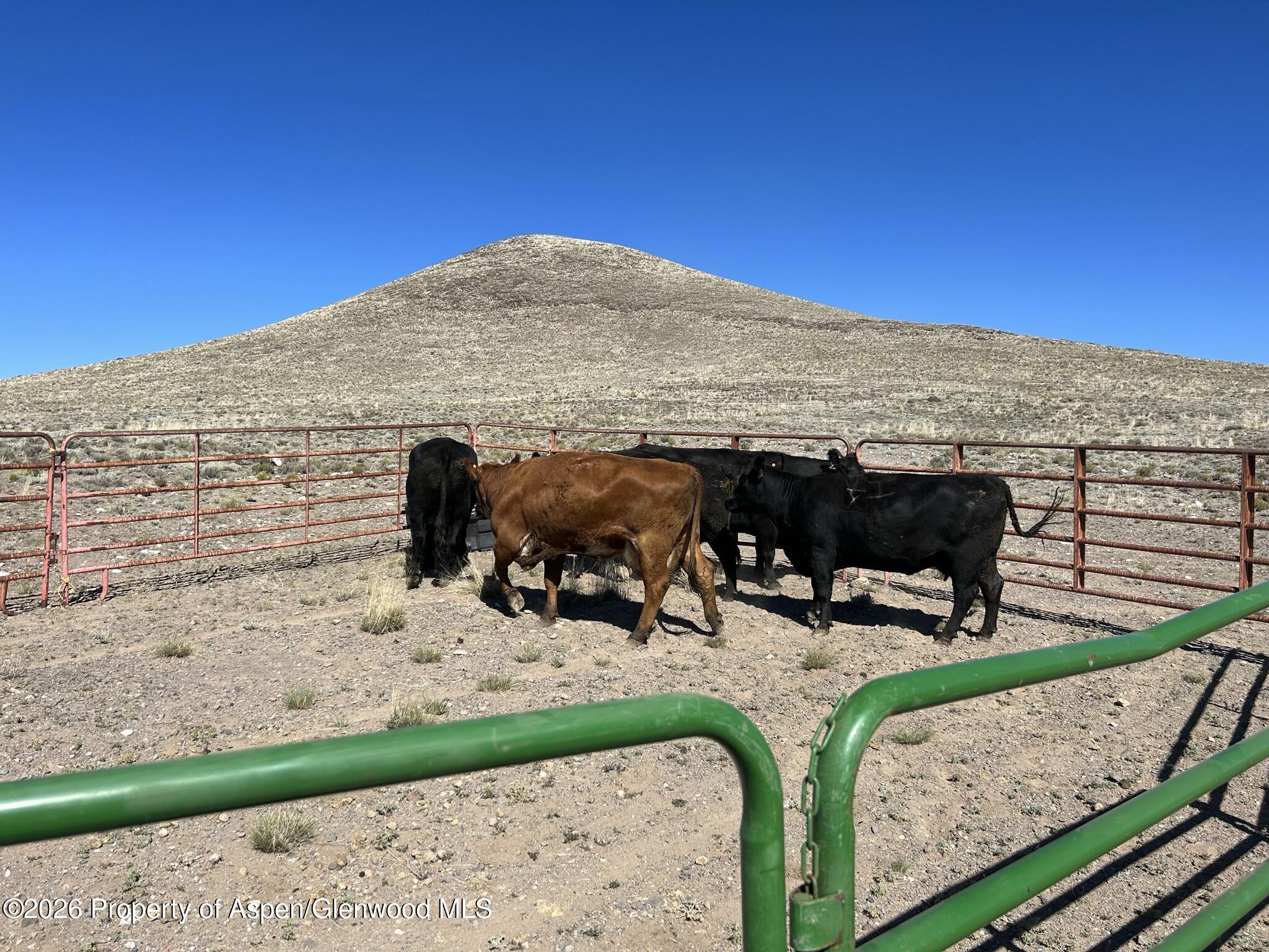 Tbd Costilla County Parcel #400022 Blanca CO 81123