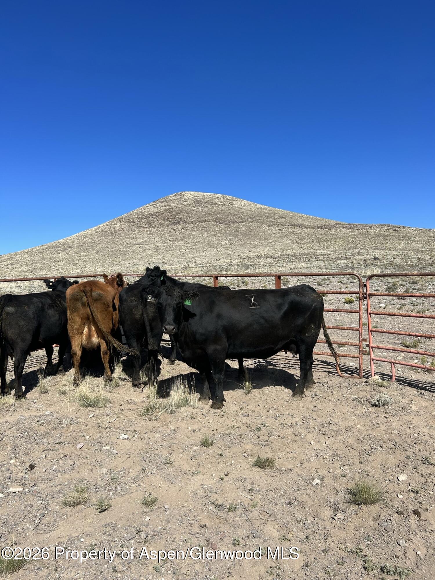 Tbd Costilla County Parcel #400022 Blanca CO 81123