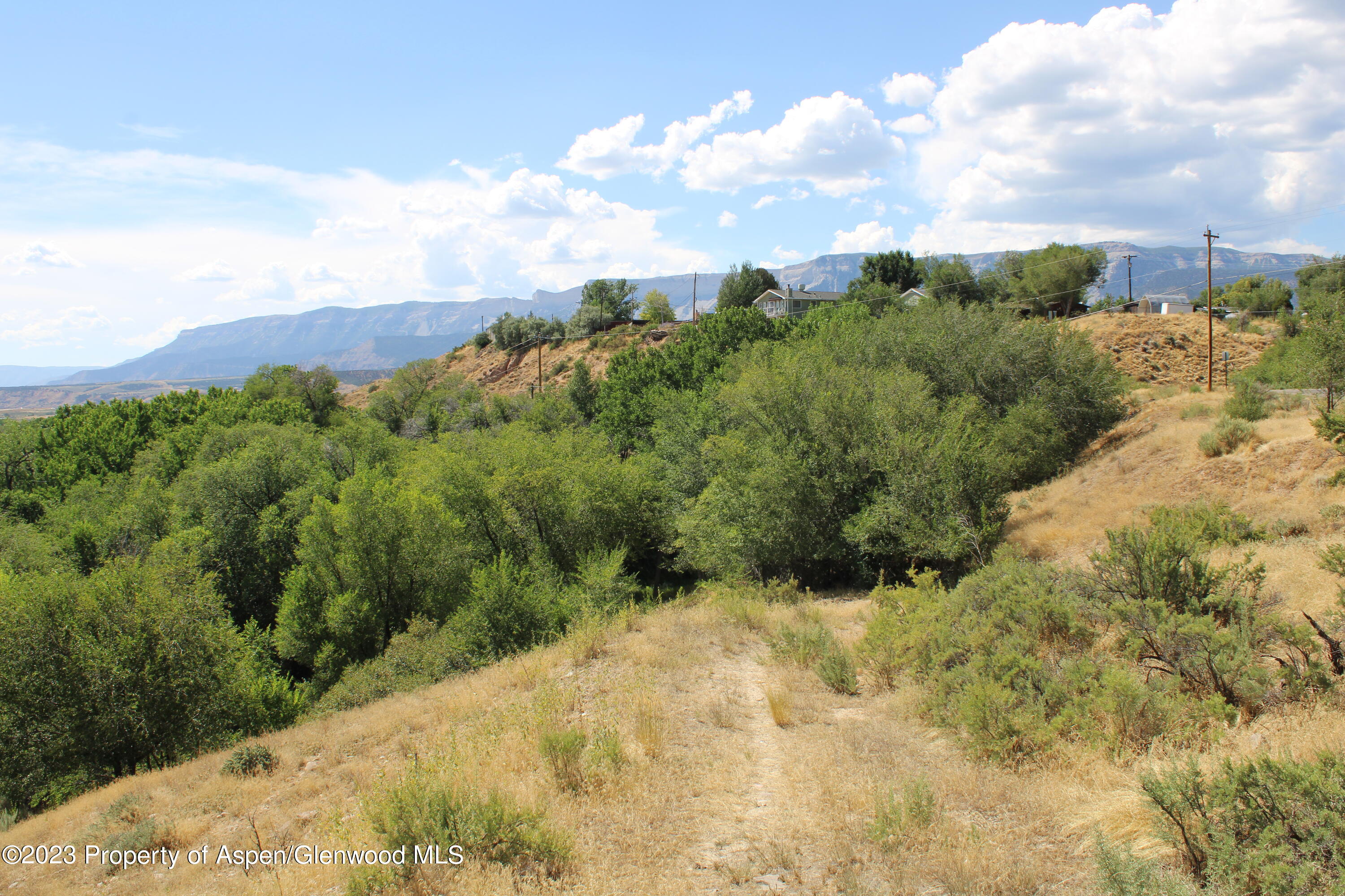 Tbd Tbd Rifle CO 81650