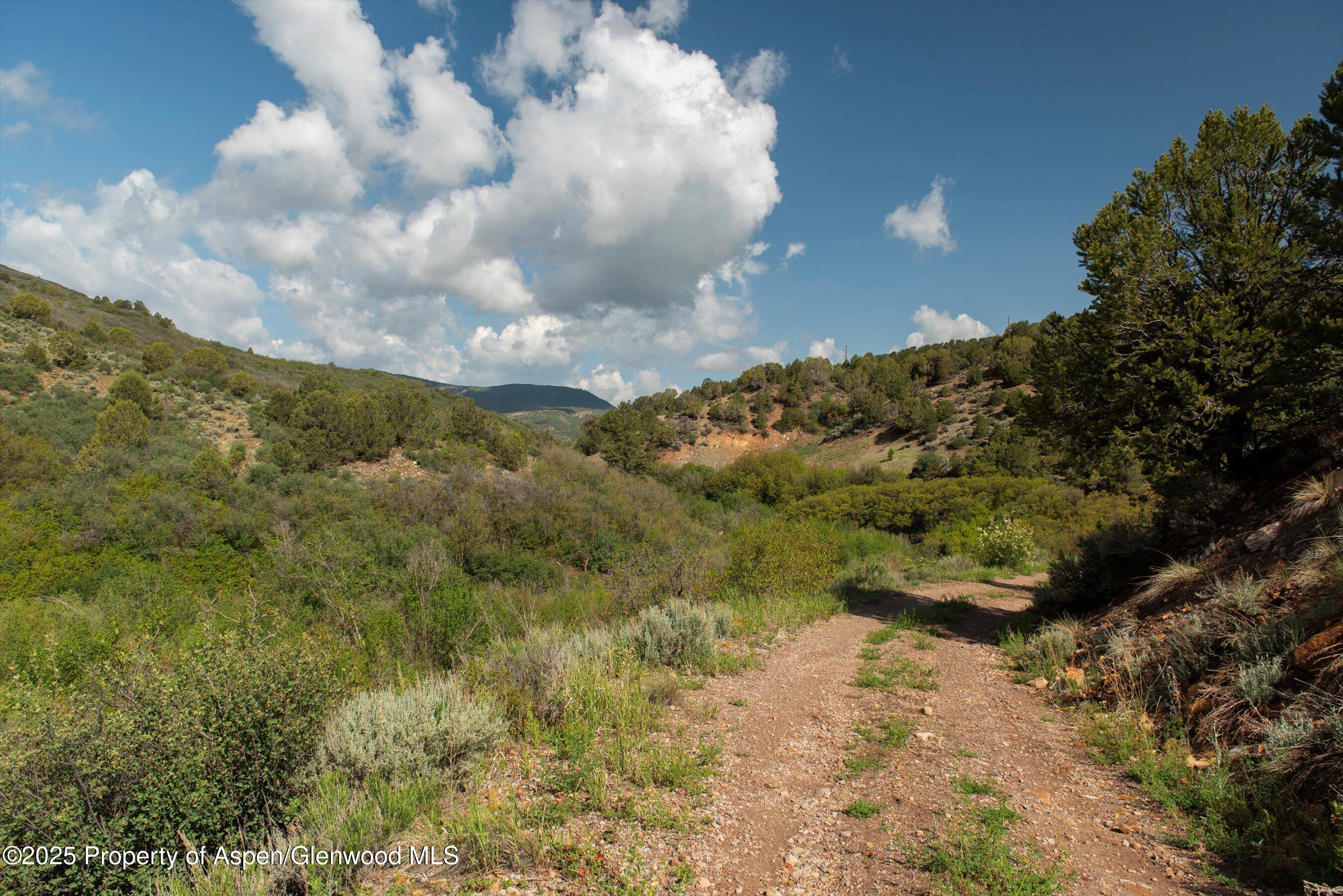 3691 E Sopris Creek Road Basalt CO 81621