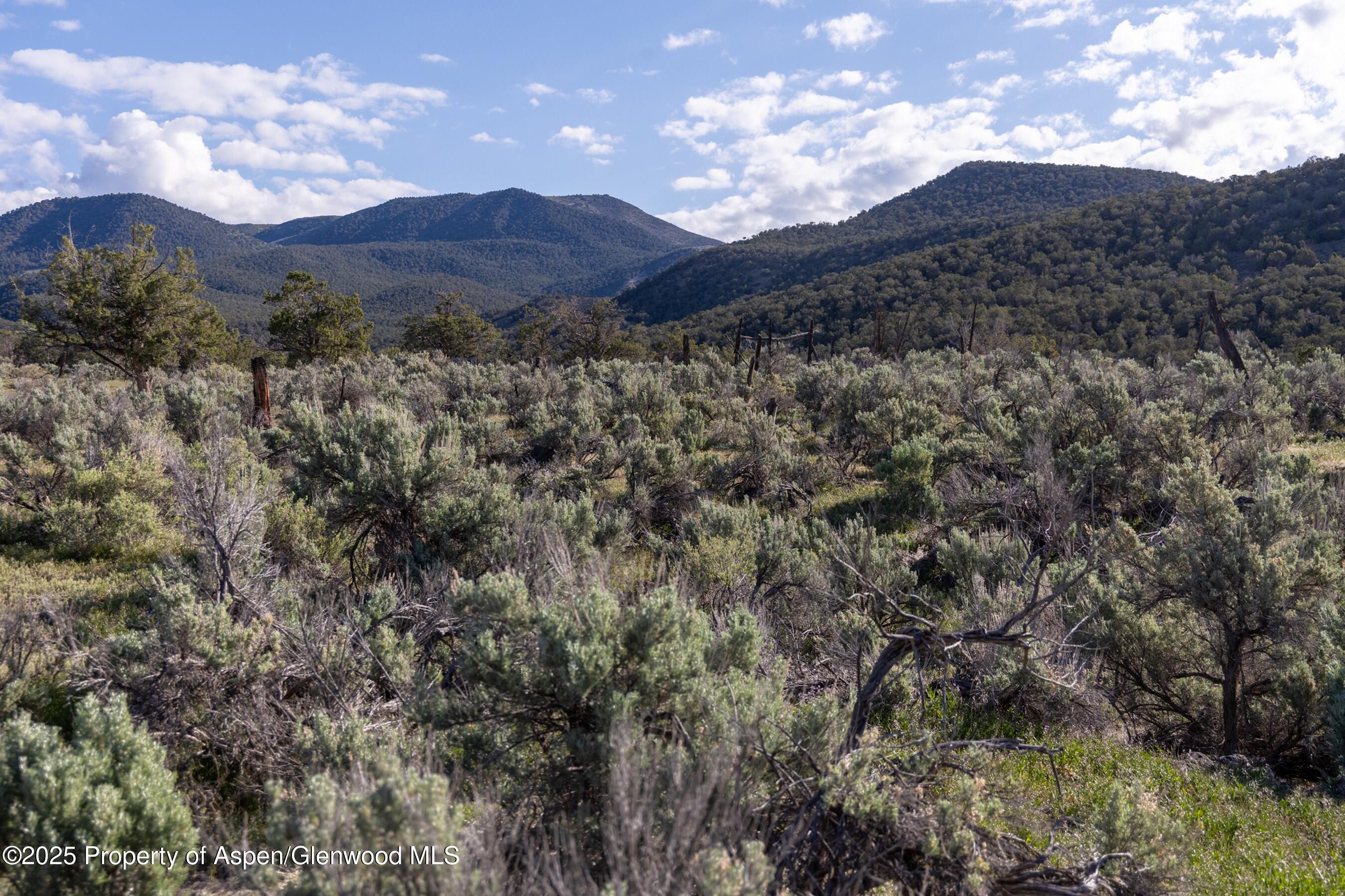 Tbd Powell Mesa Road Hotchkiss CO 81419