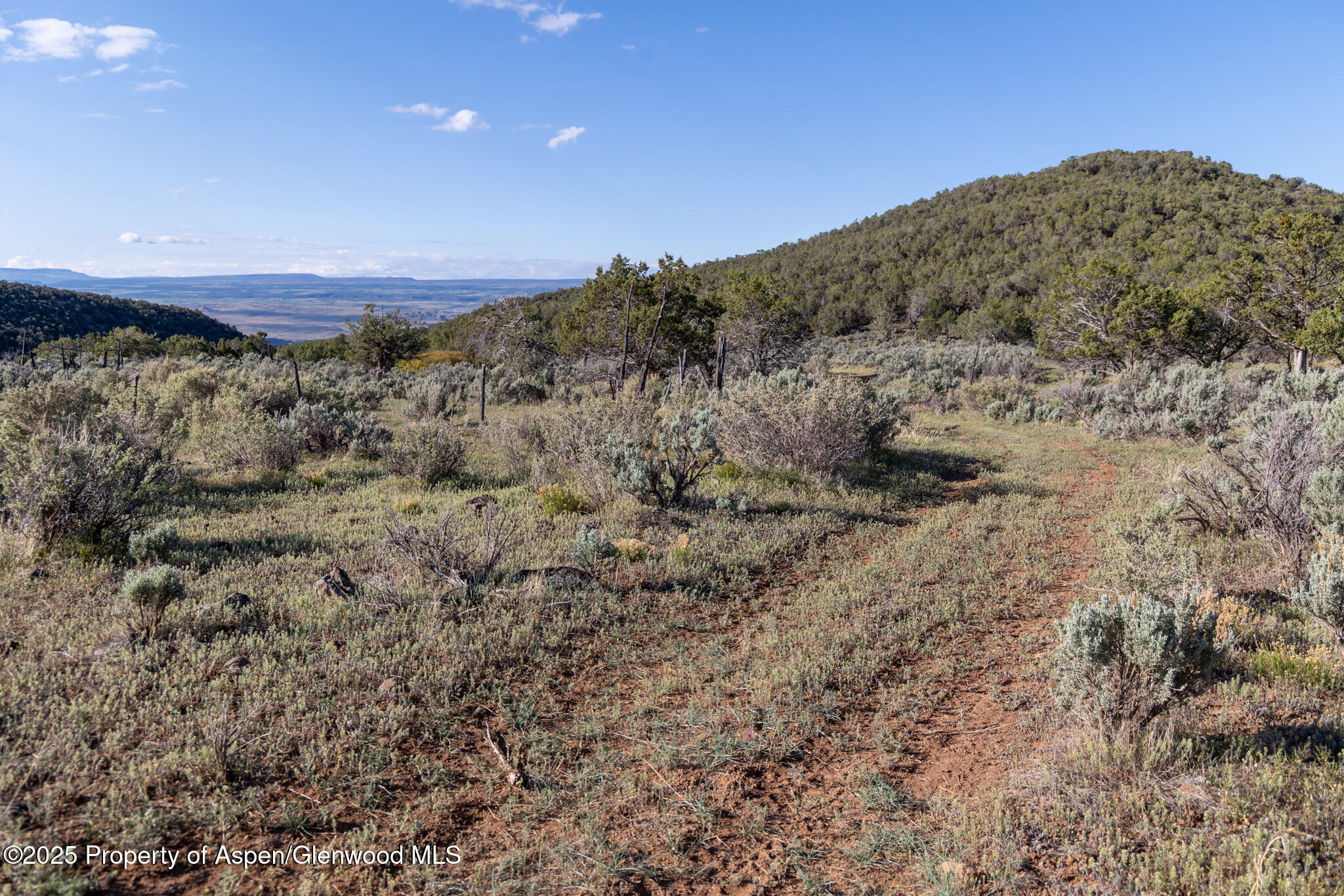 Tbd Powell Mesa Road Hotchkiss CO 81419