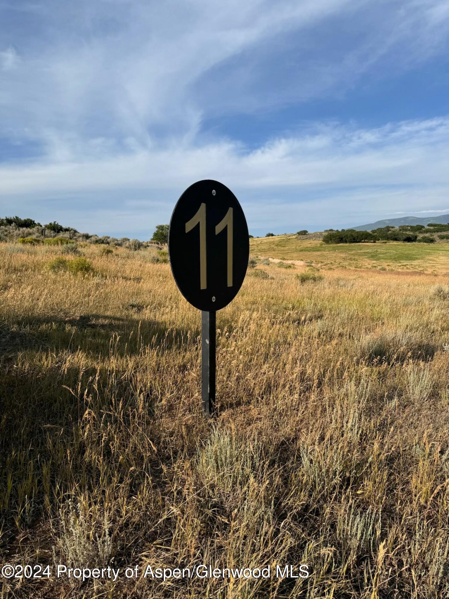 Tbd County Road 100 Carbondale CO 81623