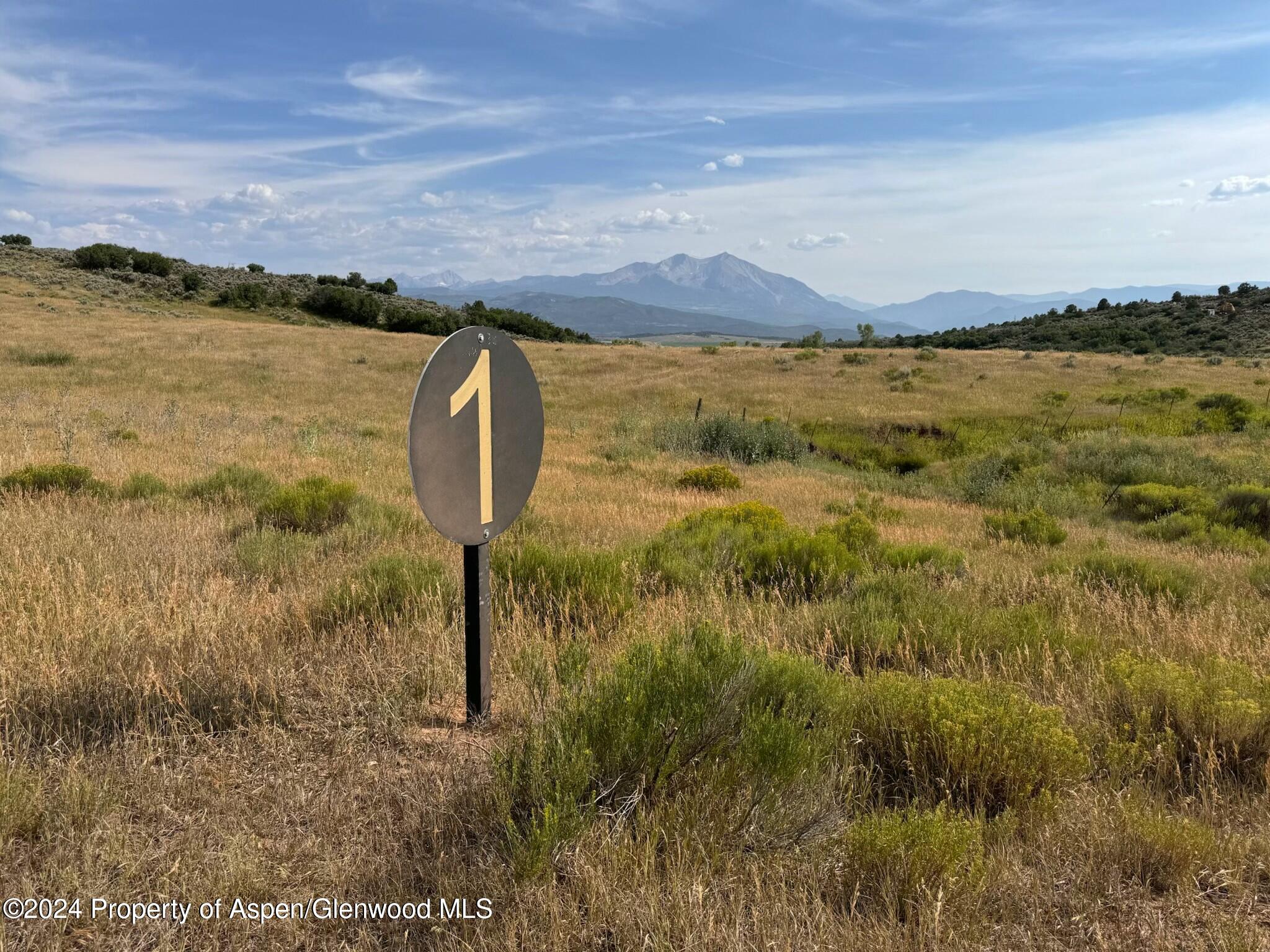 Tbd County Road 100 Carbondale CO 81623