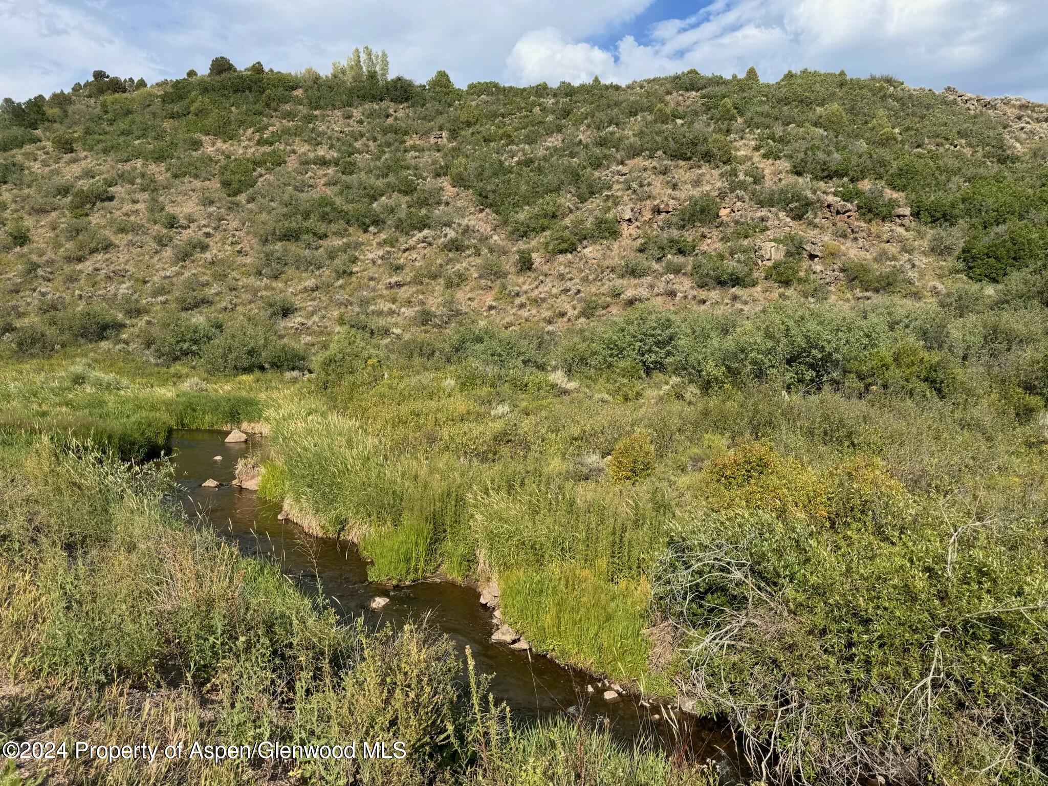 Tbd County Road 100 Carbondale CO 81623