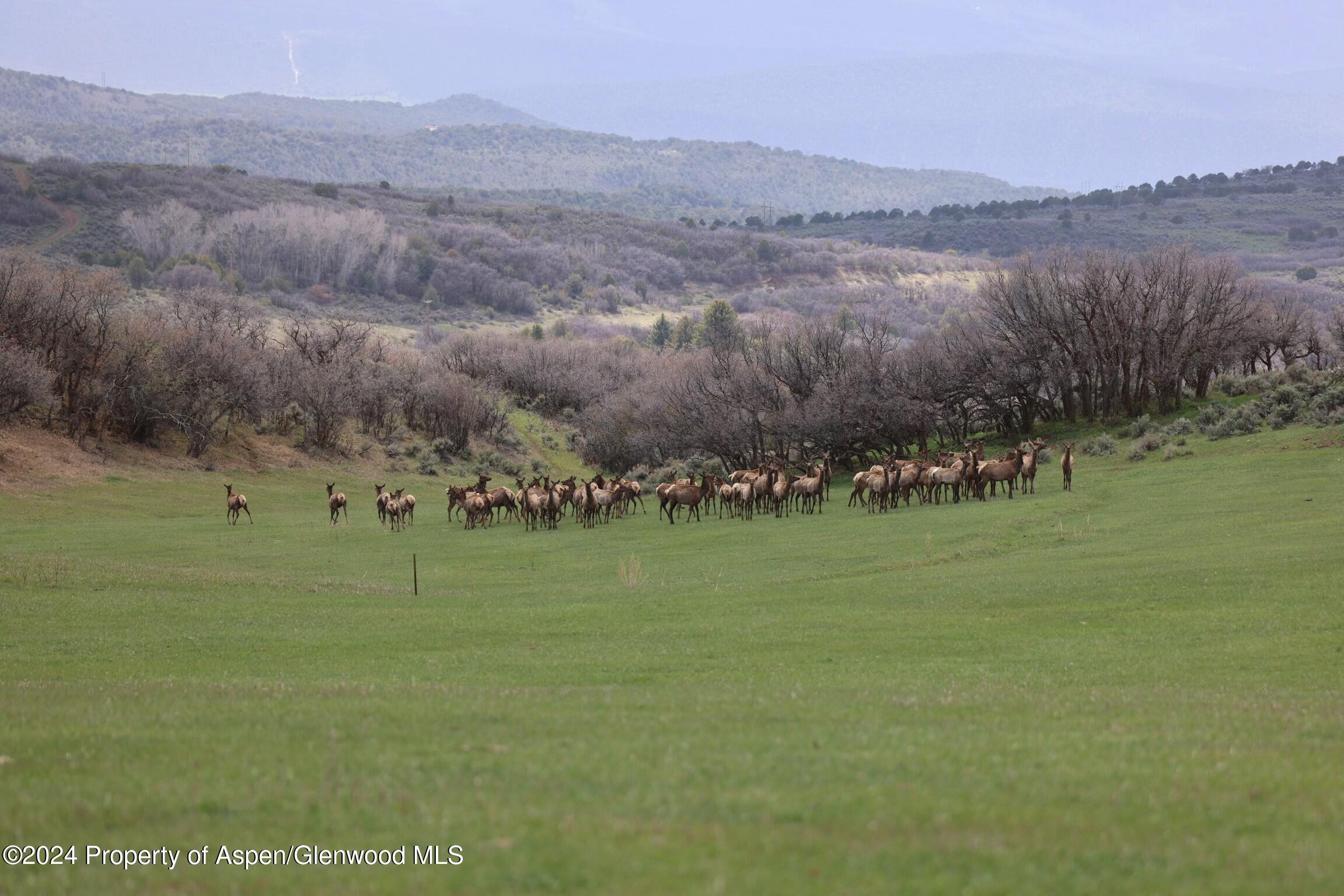 Tbd County Road 100 Carbondale CO 81623