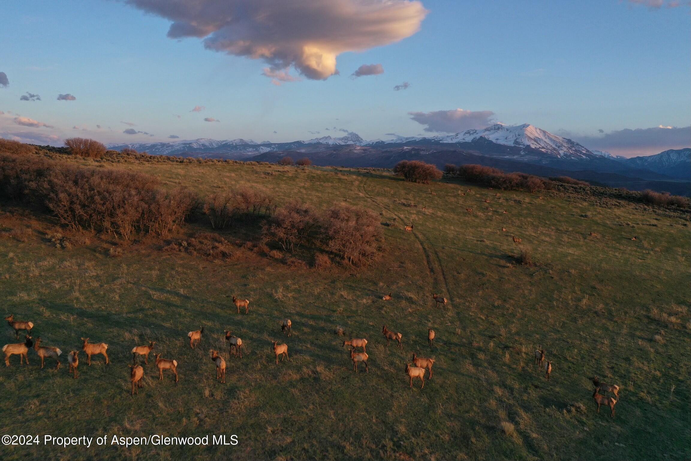 Tbd County Road 100 Carbondale CO 81623