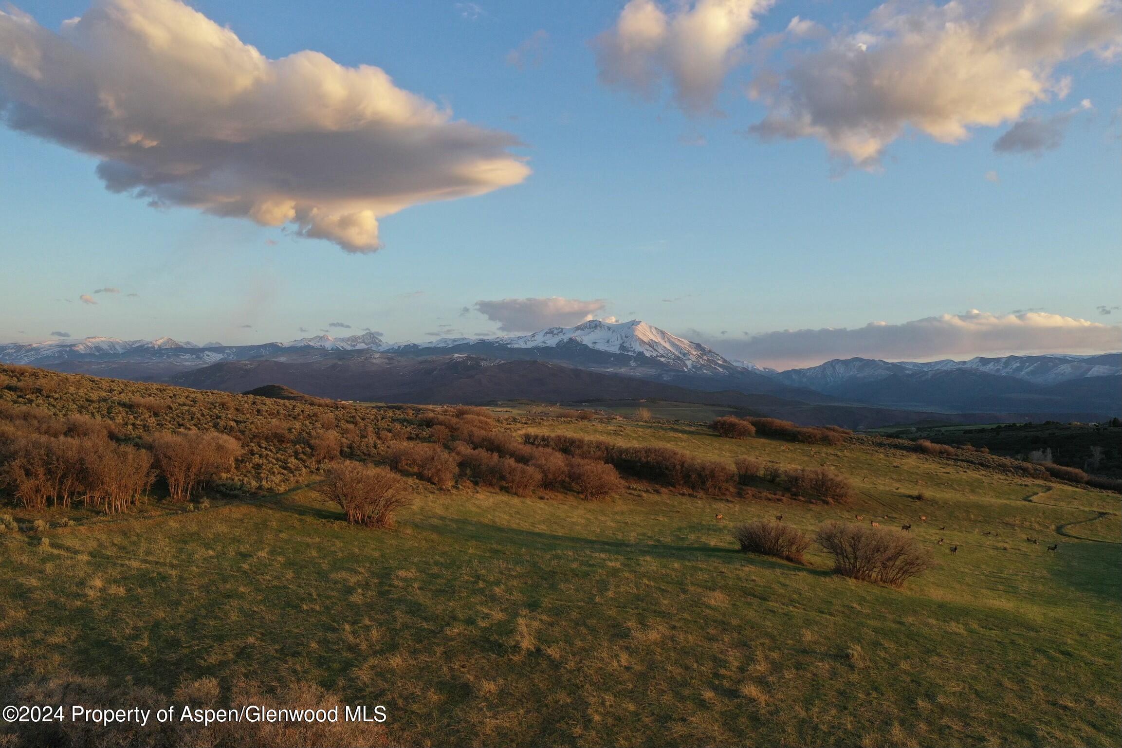 Tbd County Road 100 Carbondale CO 81623