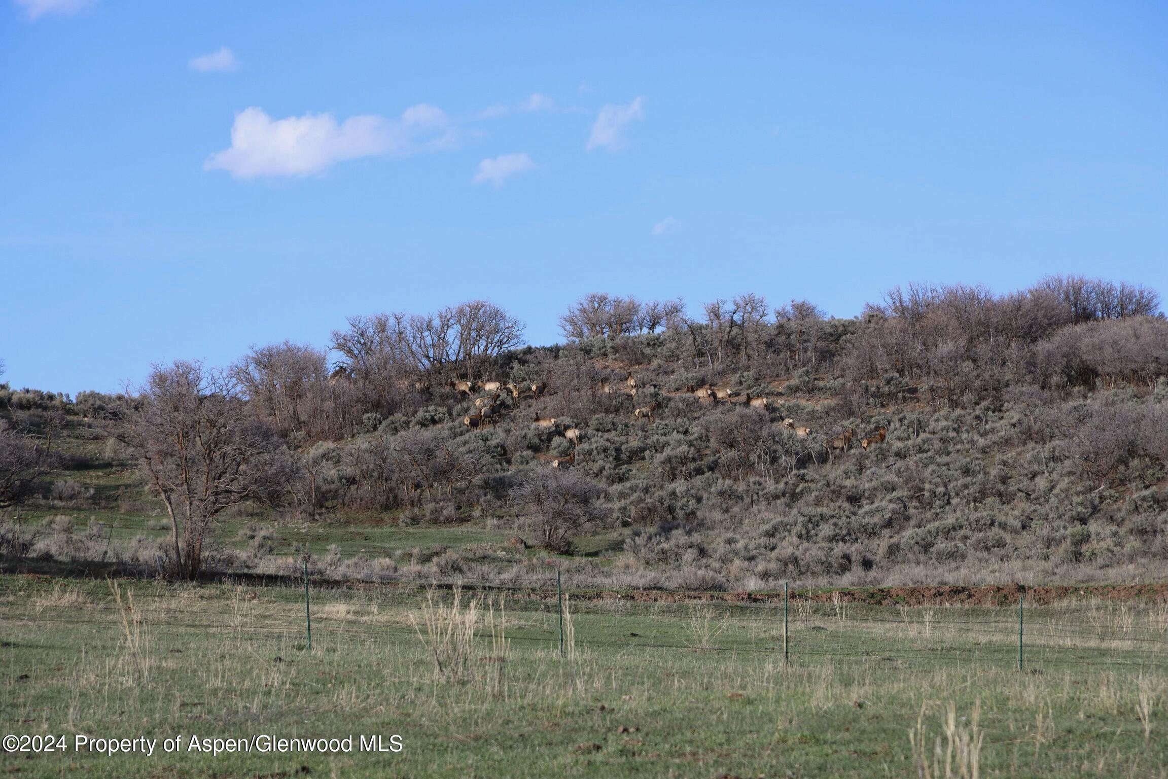 Tbd County Road 100 Carbondale CO 81623