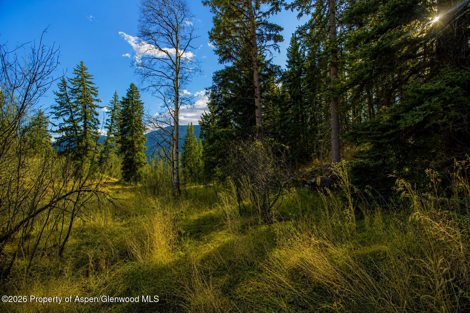 123 Wapiti Way Basalt CO 81621