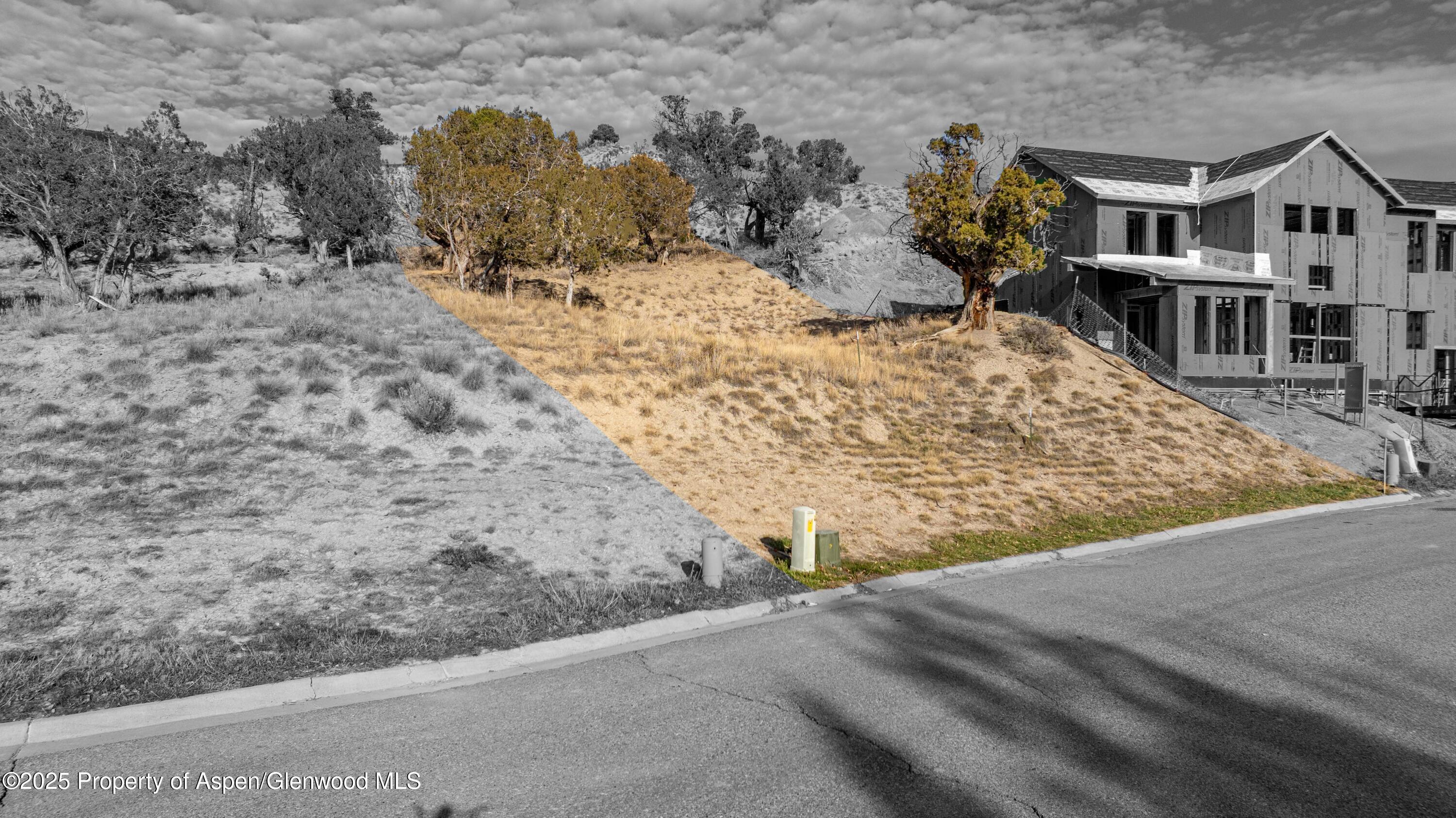 New Castle CO, 16 Mule Deer Court