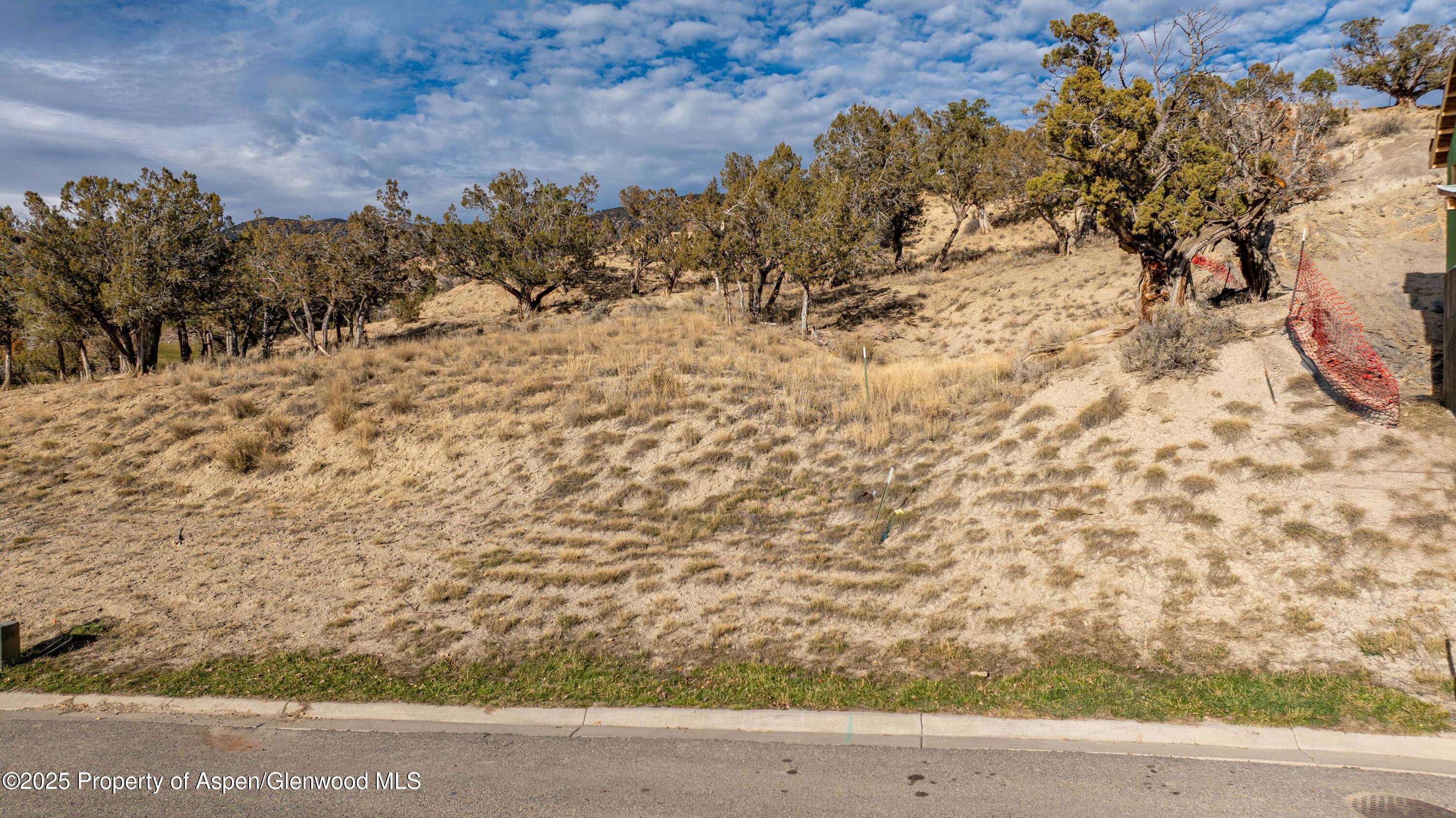 16 Mule Deer Court New Castle CO 81647