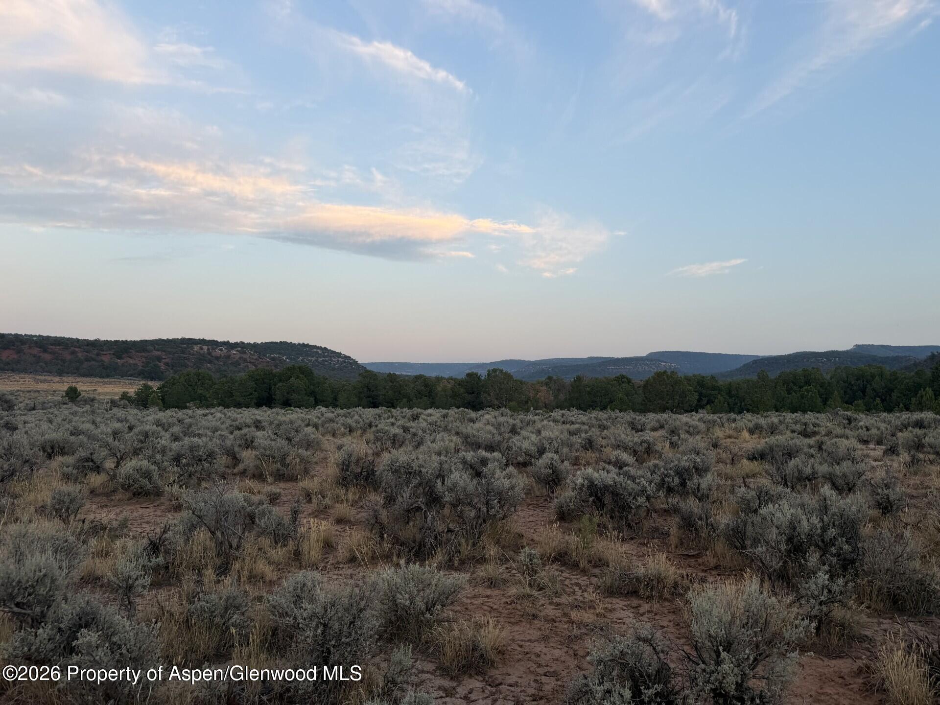 Tbd S 9 8/10 Road Glade Park CO 81523