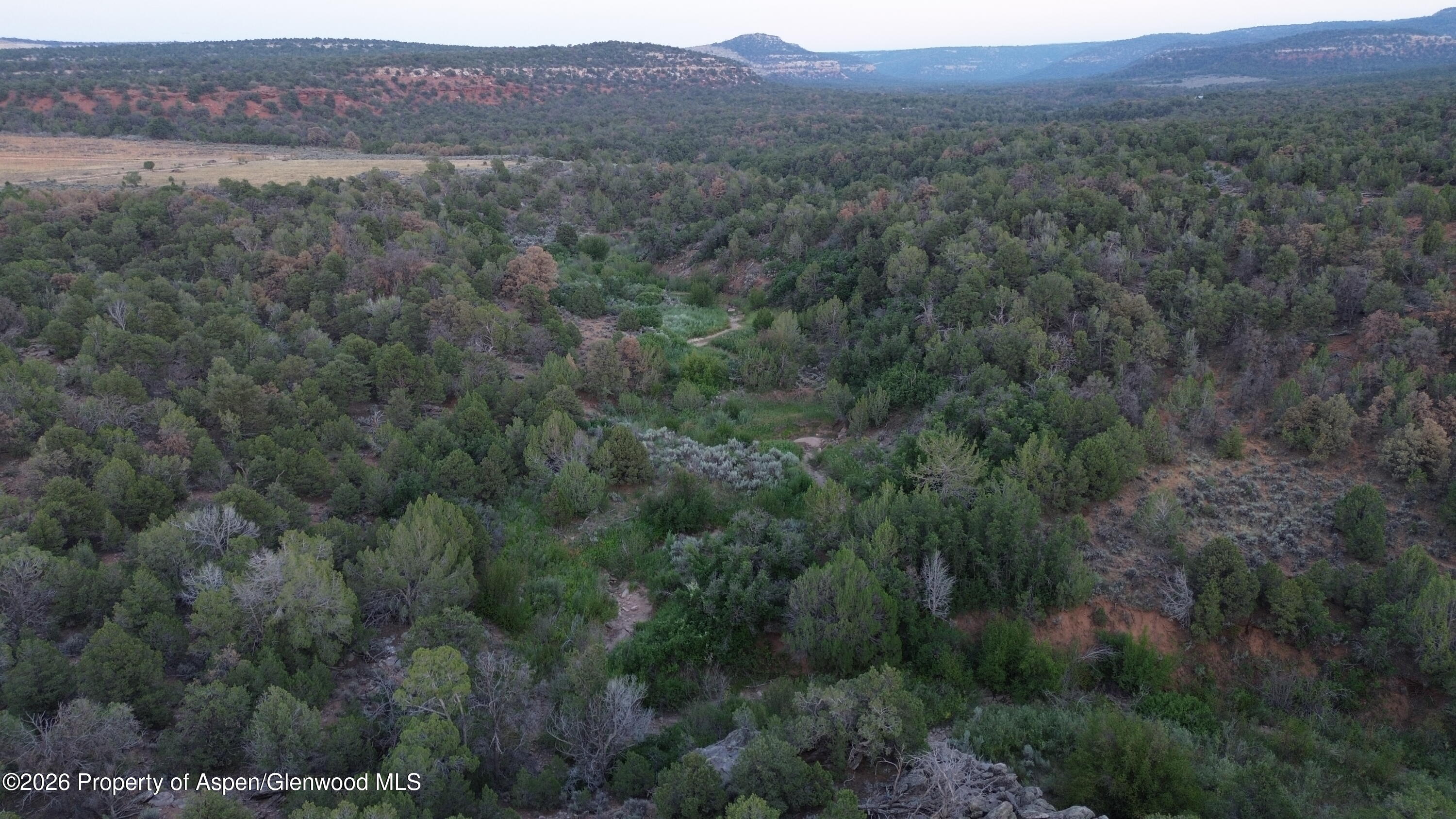 Tbd S 9 8/10 Road Glade Park CO 81523