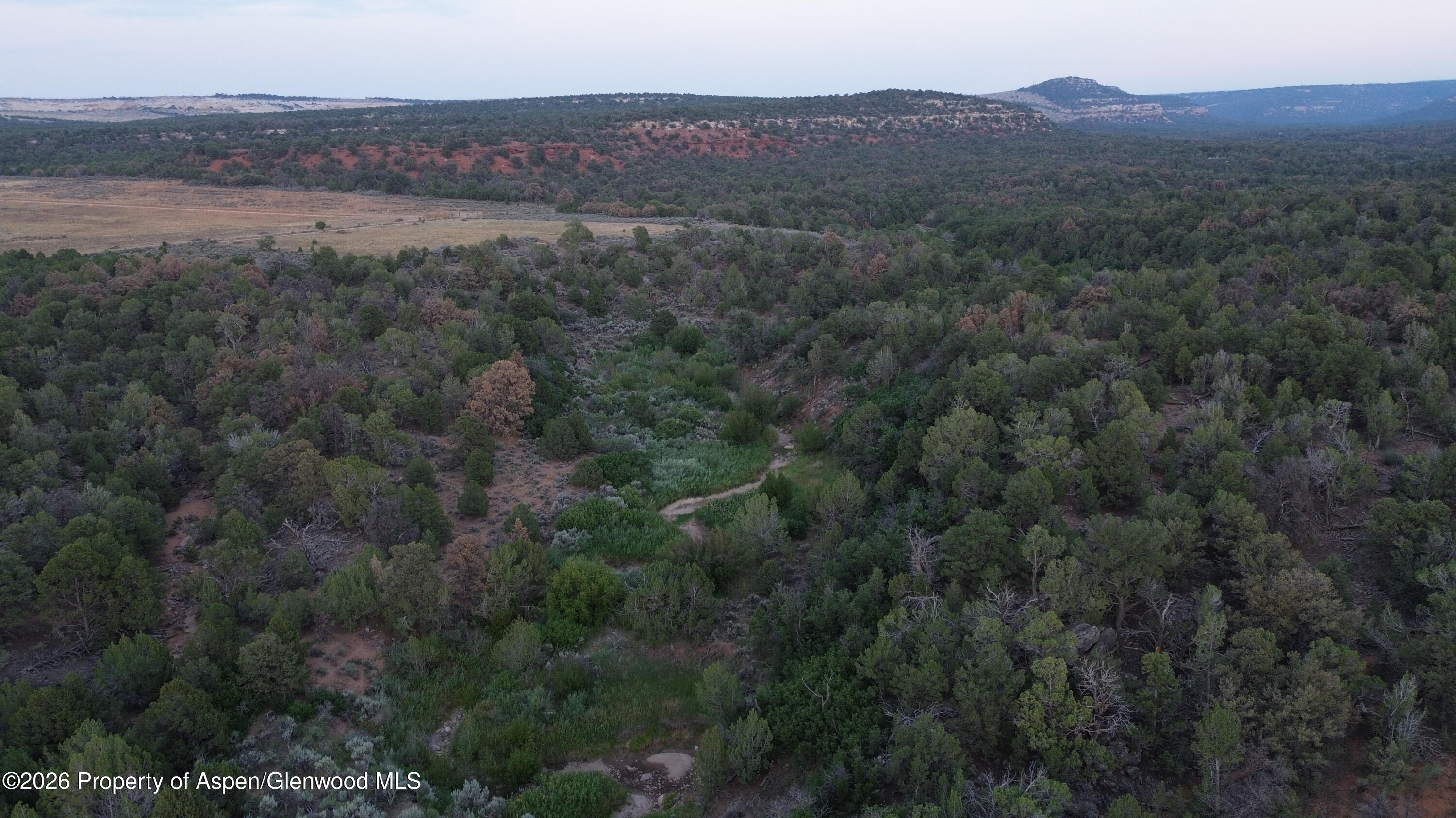 Tbd S 9 8/10 Road Glade Park CO 81523