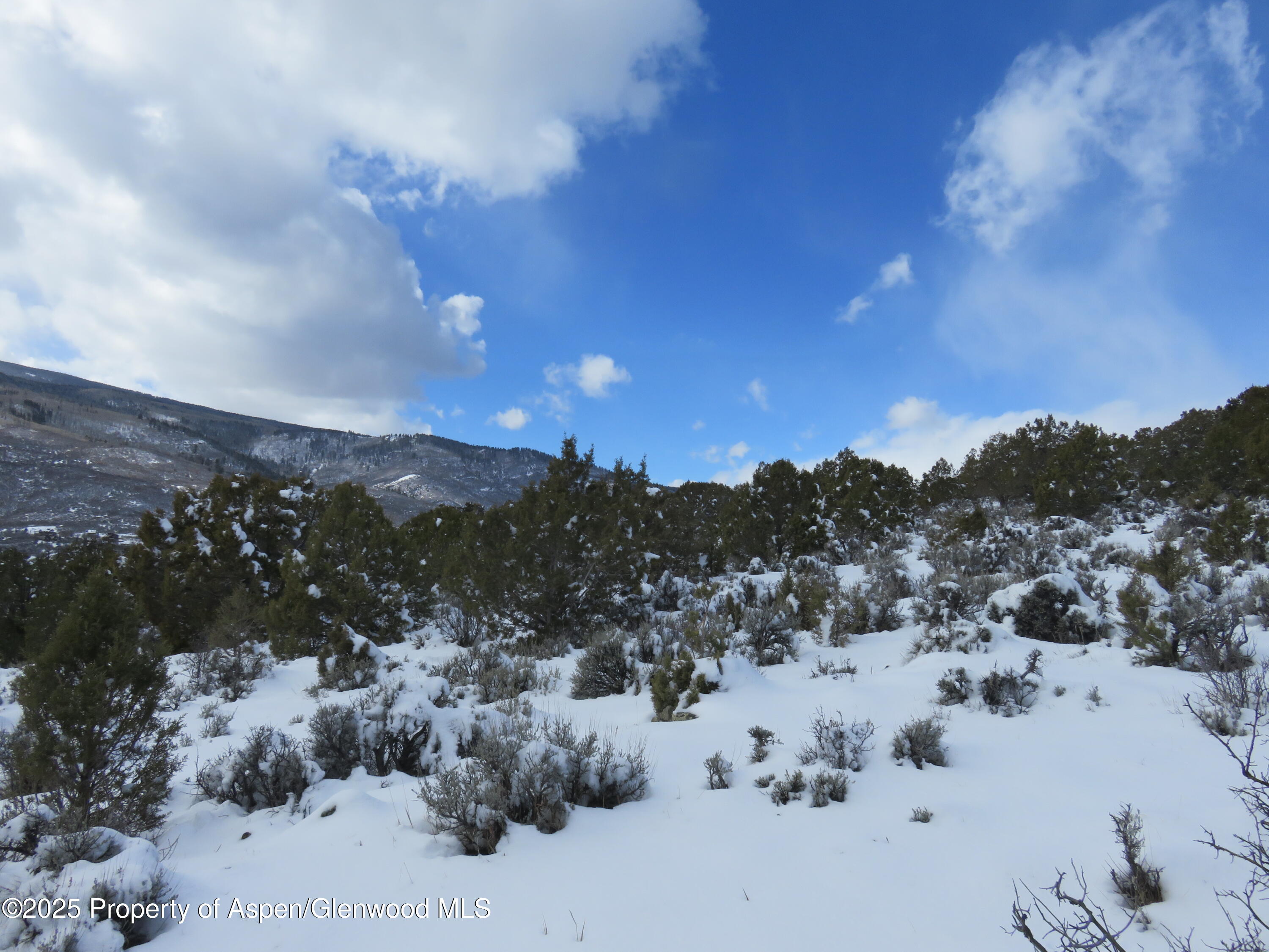 Tbd 117 County Road Glenwood Springs CO 81601