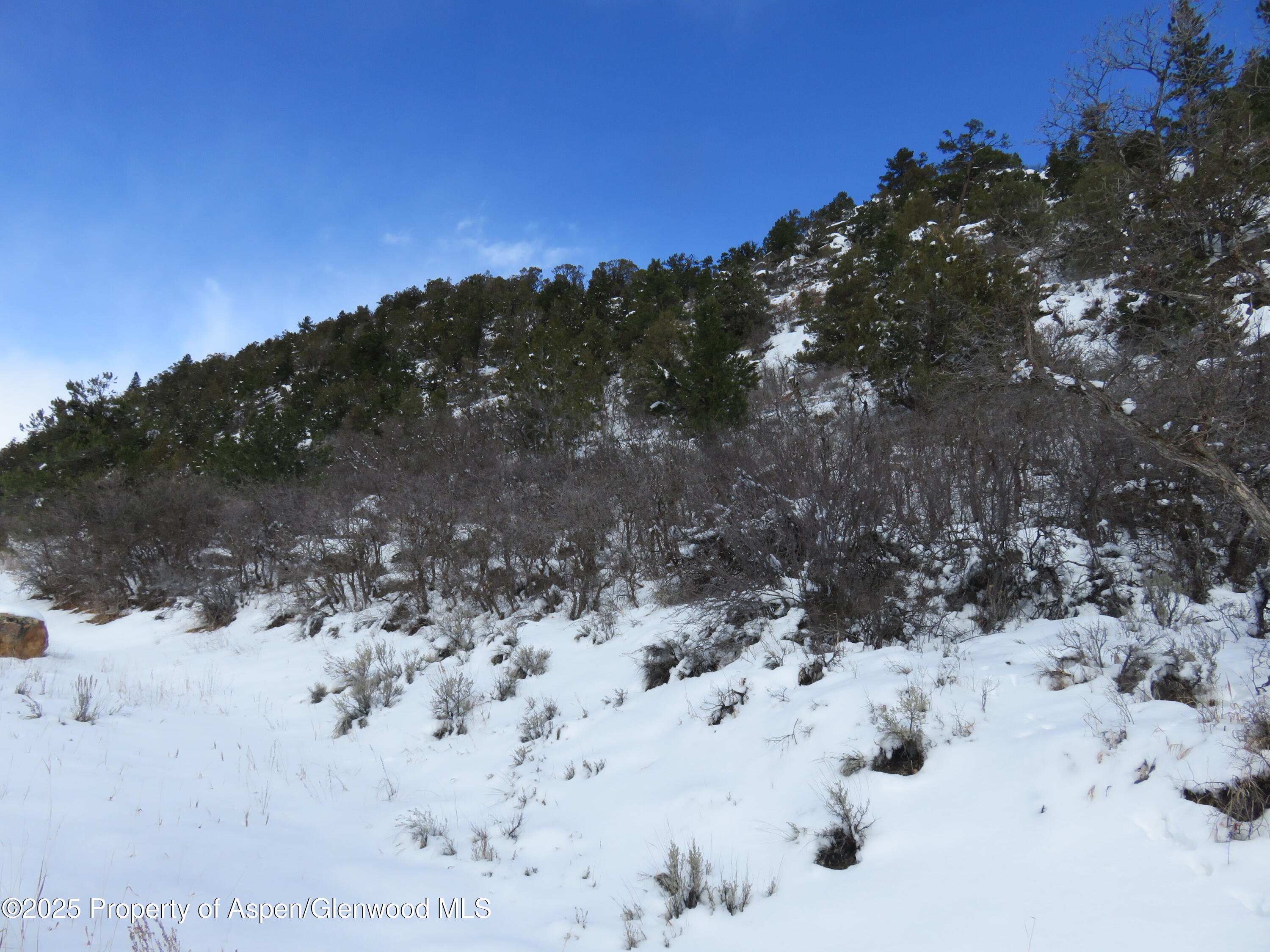 Tbd 117 County Road Glenwood Springs CO 81601