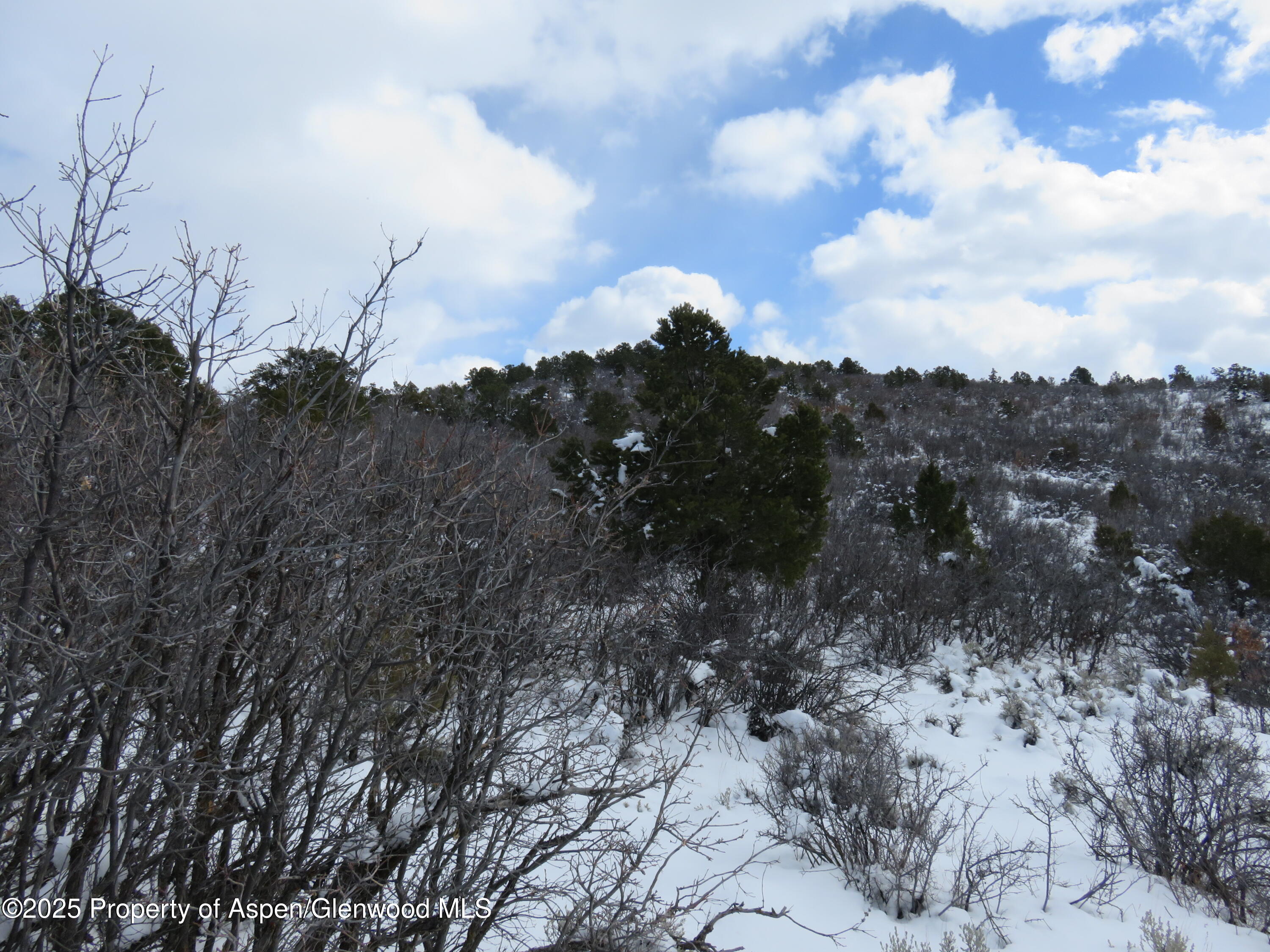 Tbd 117 County Road Glenwood Springs CO 81601