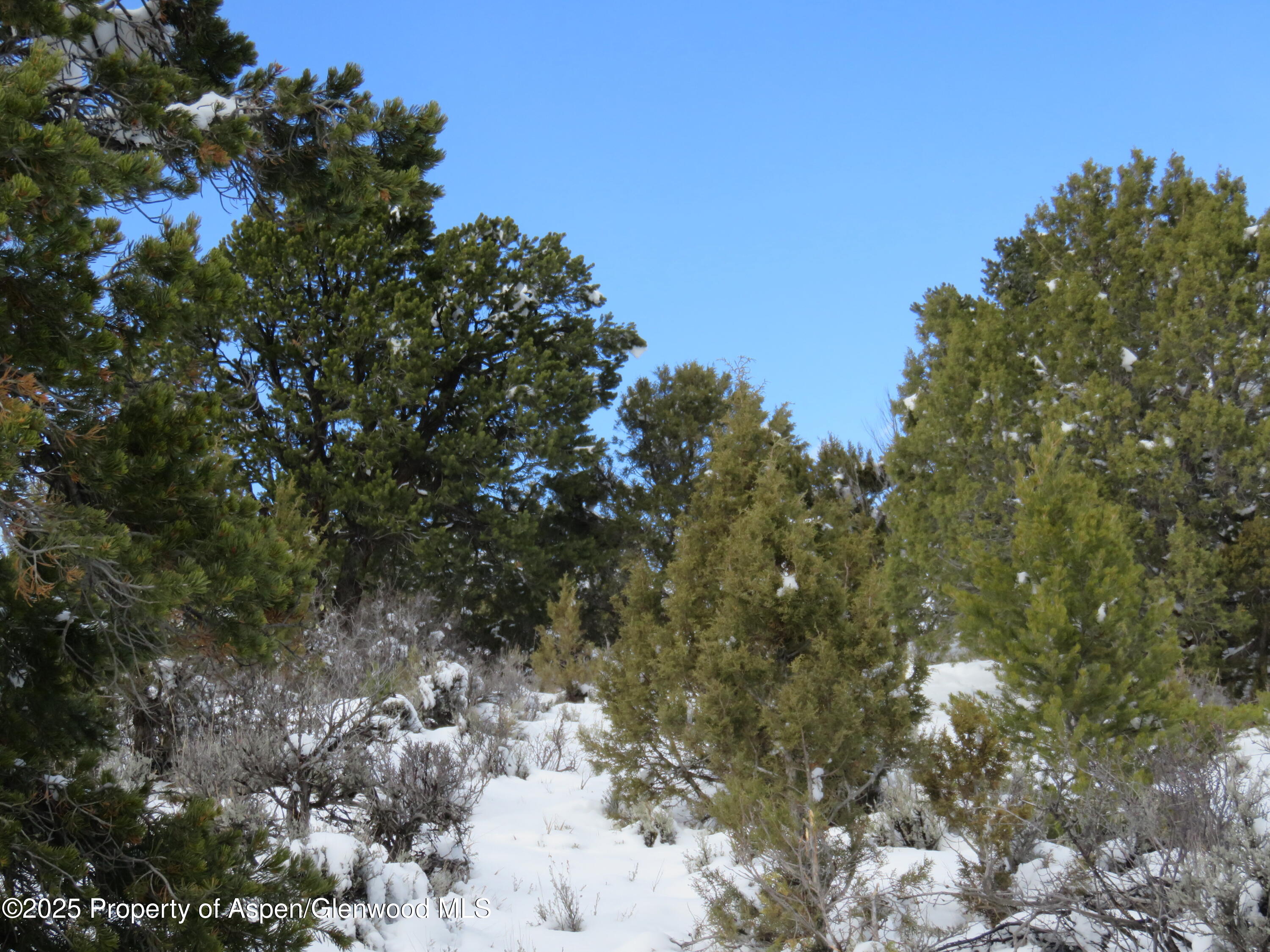 Tbd 117 County Road Glenwood Springs CO 81601