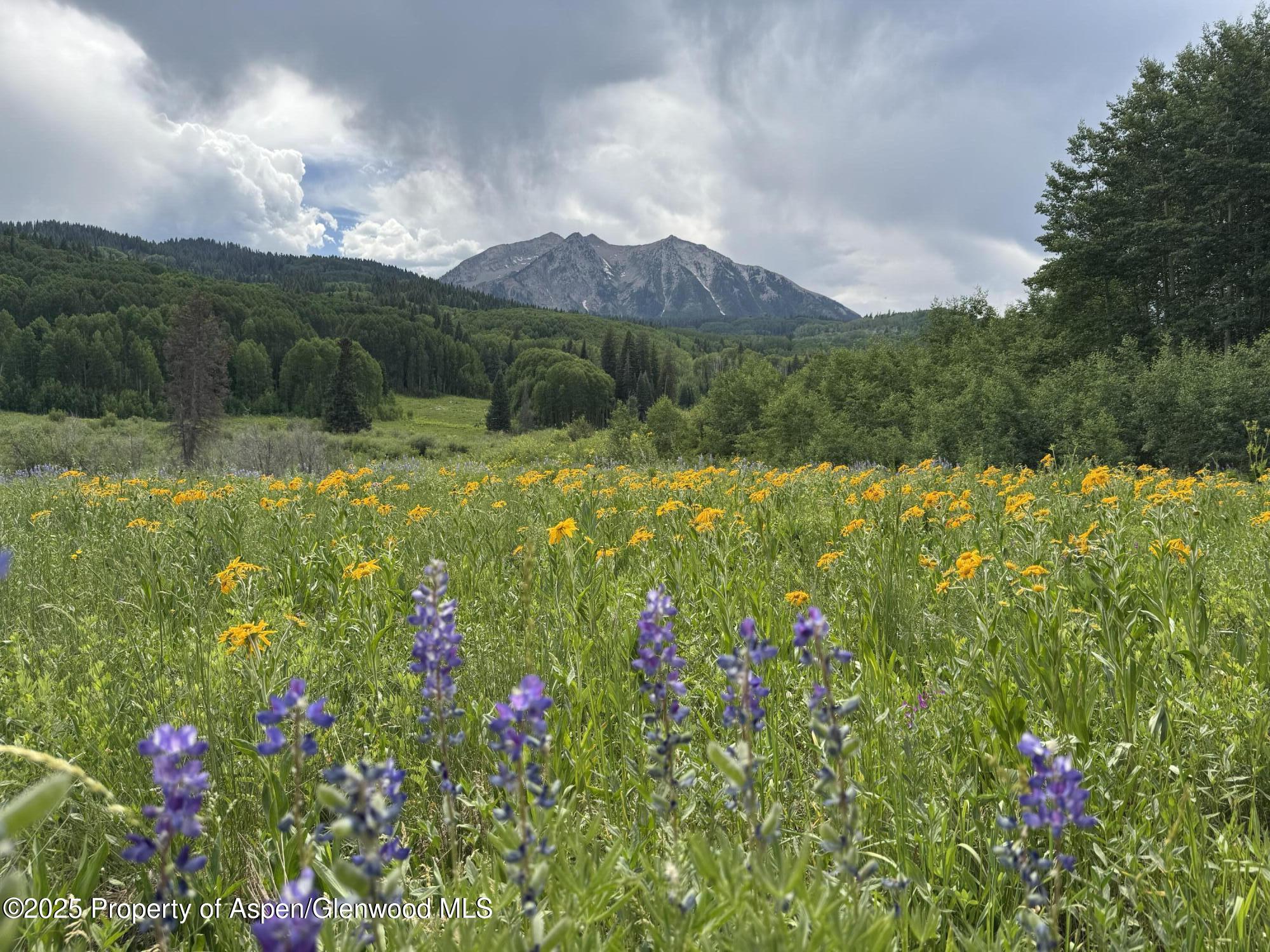 Tdr Tdr Aspen CO 81611