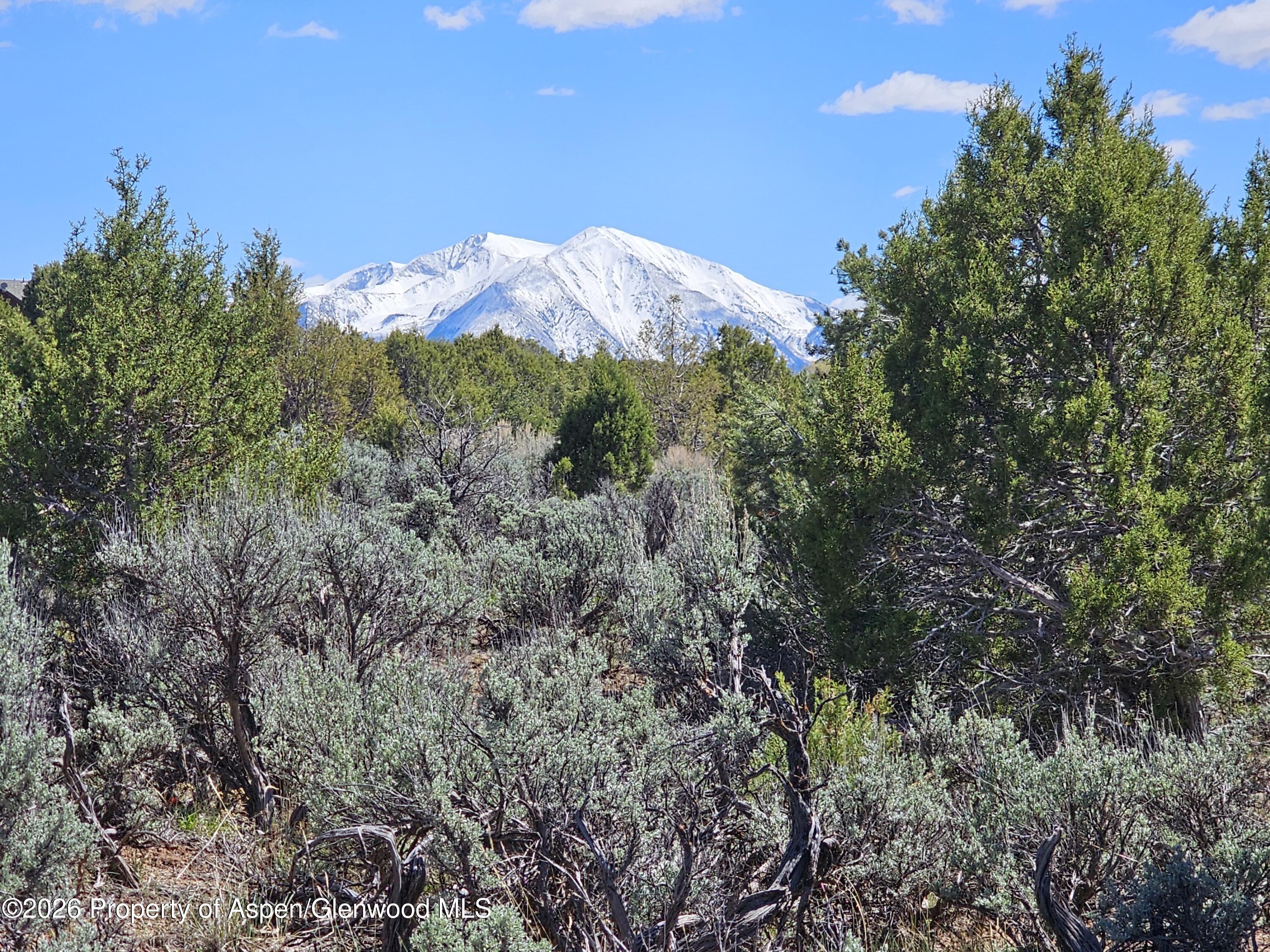 369 Woodruff Road Glenwood Springs CO 81601