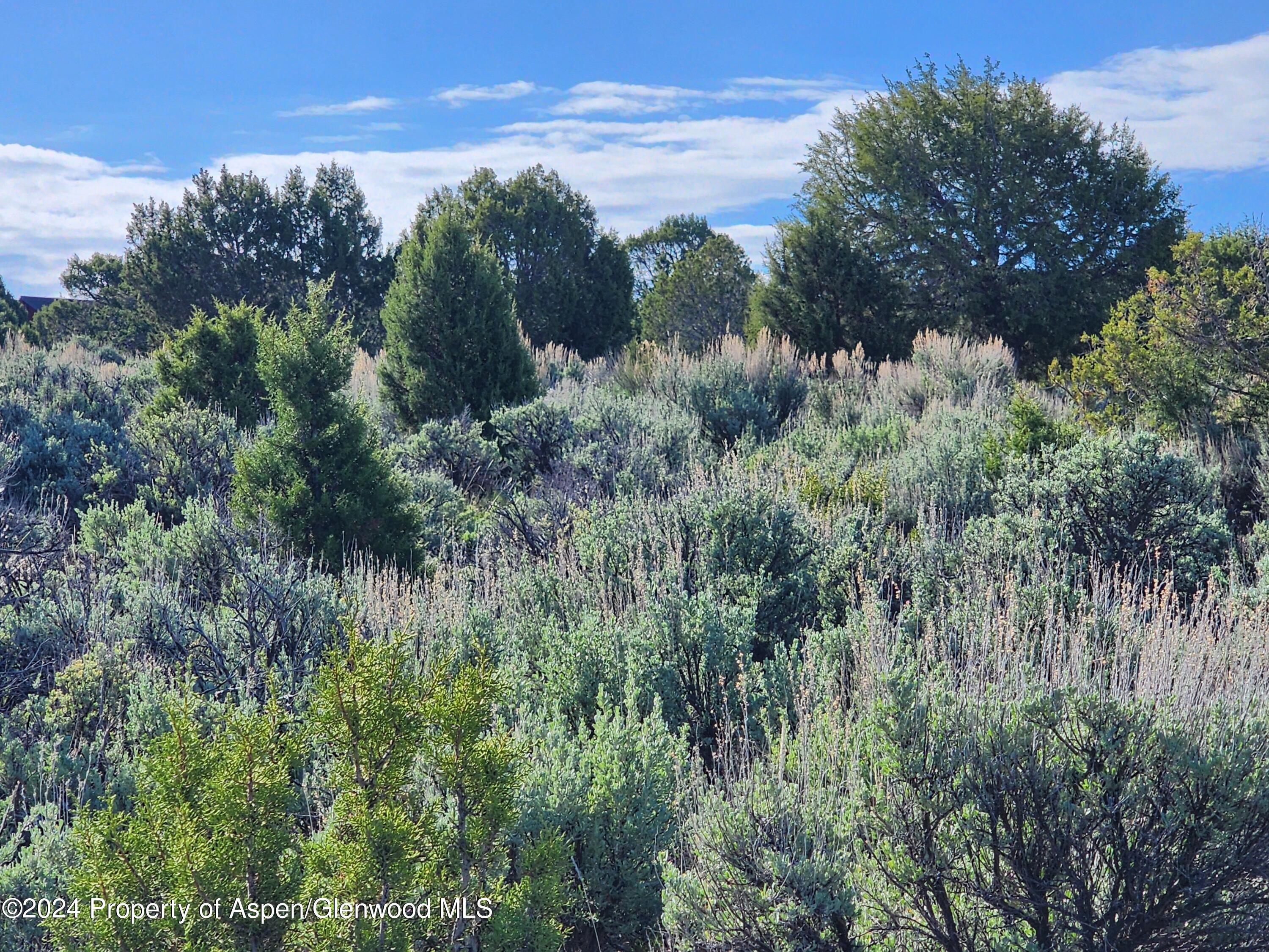 369 Woodruff Road Glenwood Springs CO 81601
