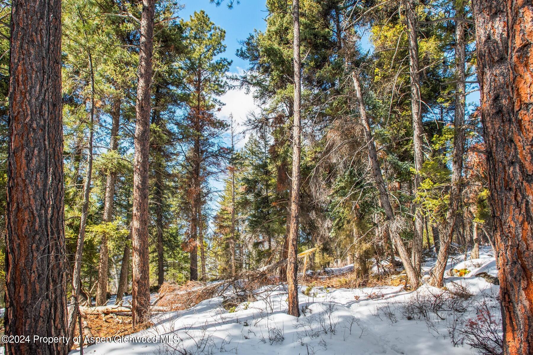 Tbd W Village Drive Marble CO 81623