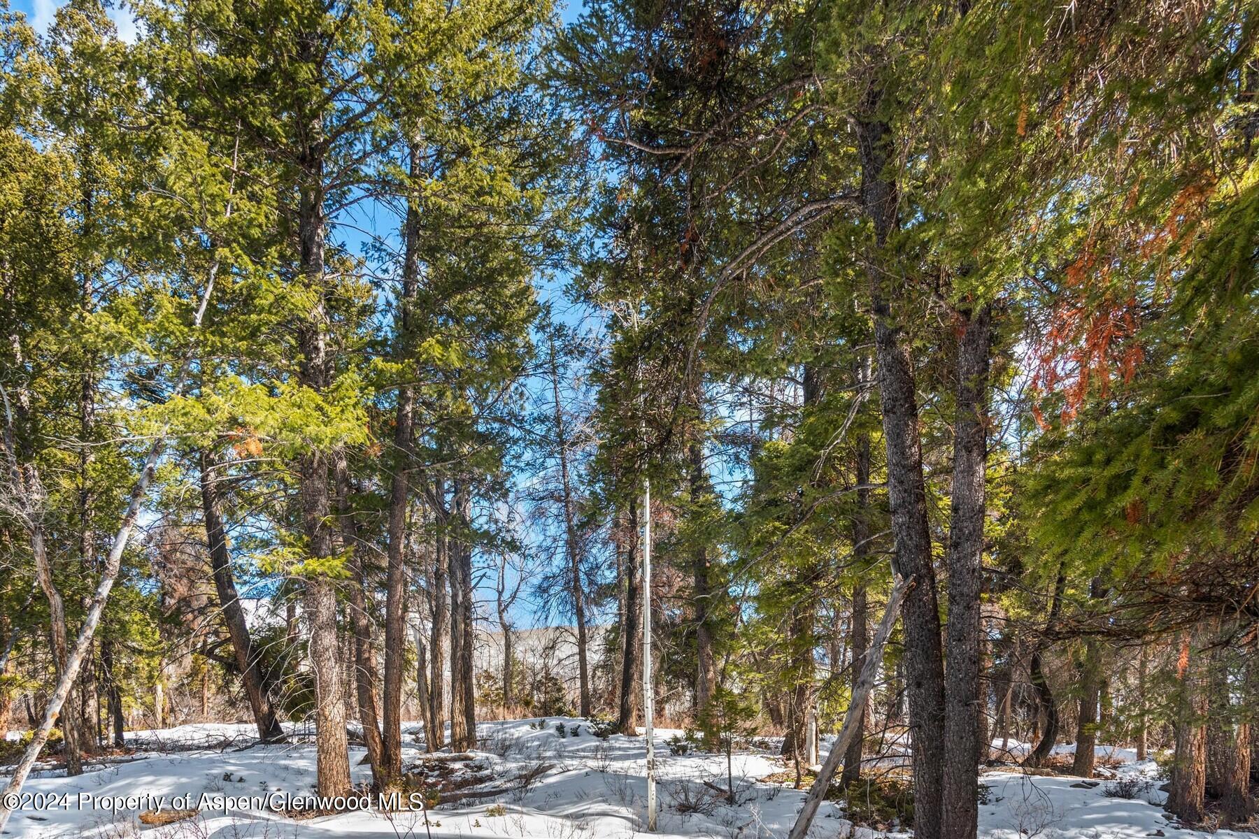 Tbd W Village Drive Marble CO 81623