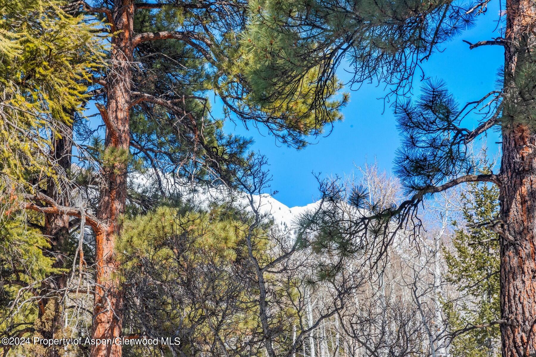 Tbd W Village Drive Marble CO 81623