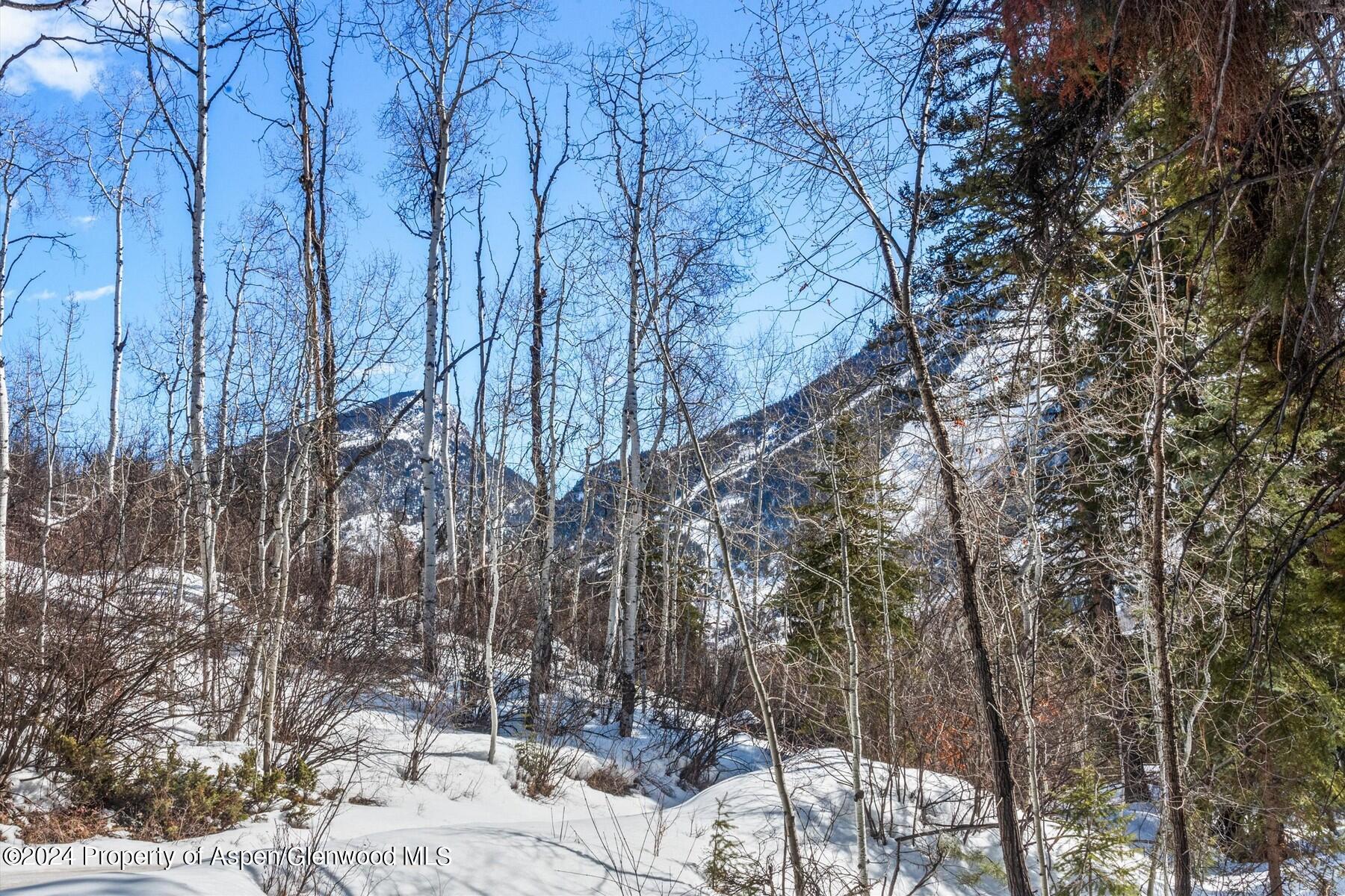 Tbd W Village Drive Marble CO 81623