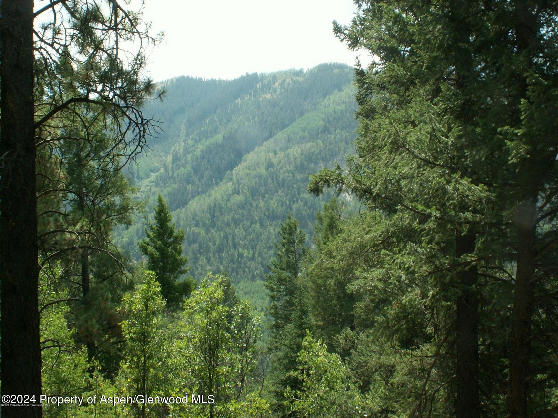 Tbd W Village Drive Marble CO 81623