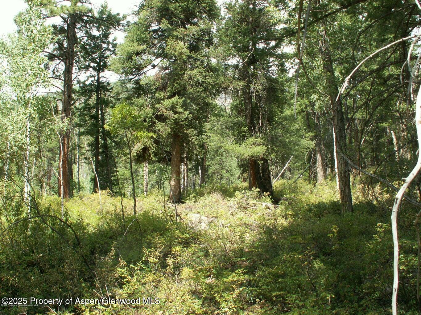 Tbd W Village Drive Marble CO 81623