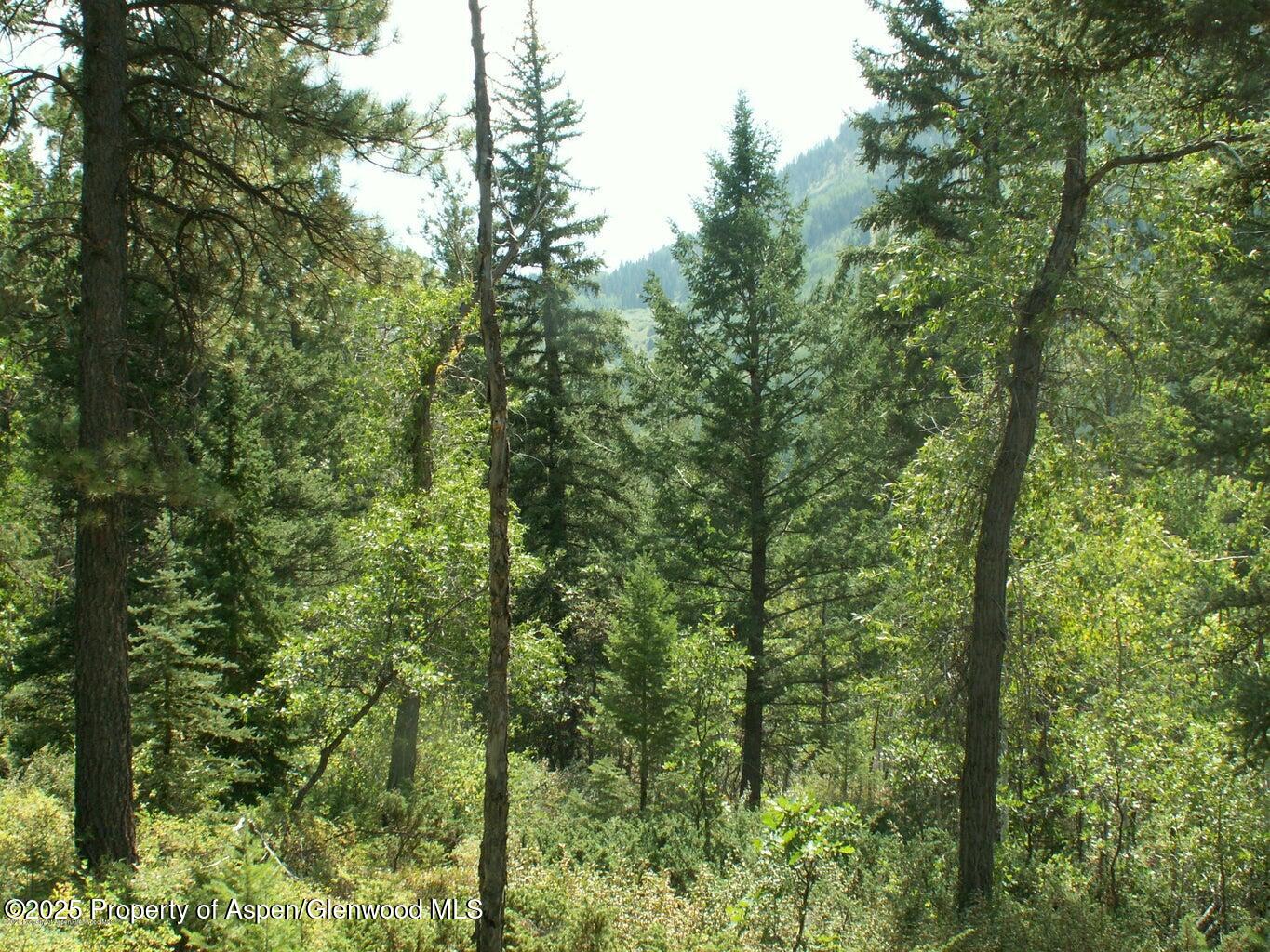 Tbd W Village Drive Marble CO 81623