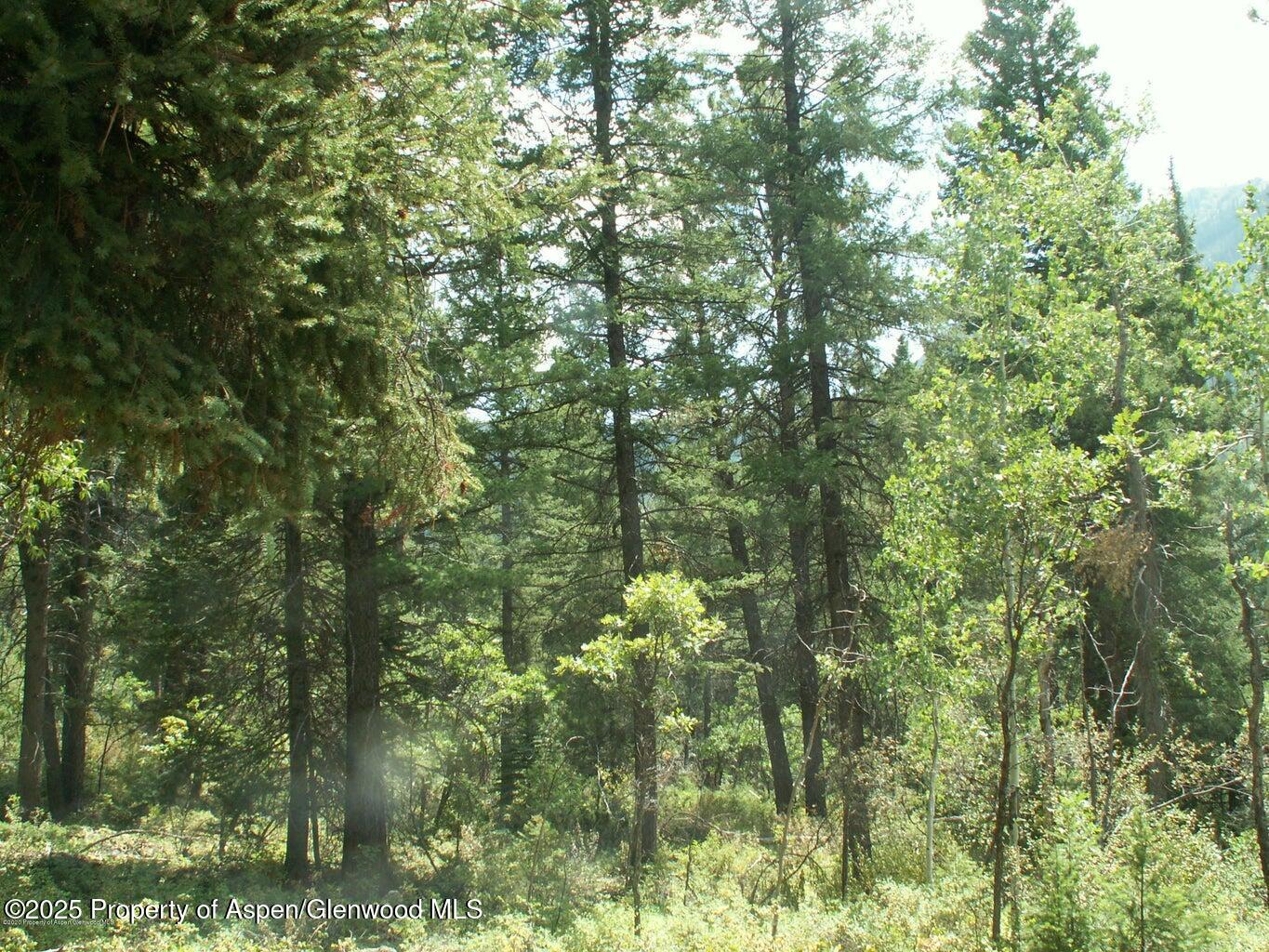 Tbd W Village Drive Marble CO 81623