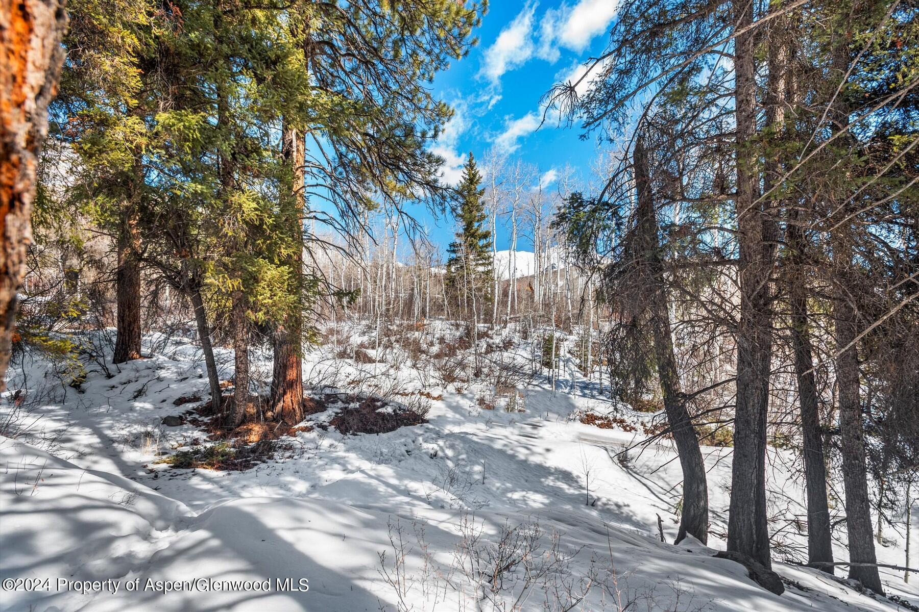 Tbd W Village Drive Marble CO 81623