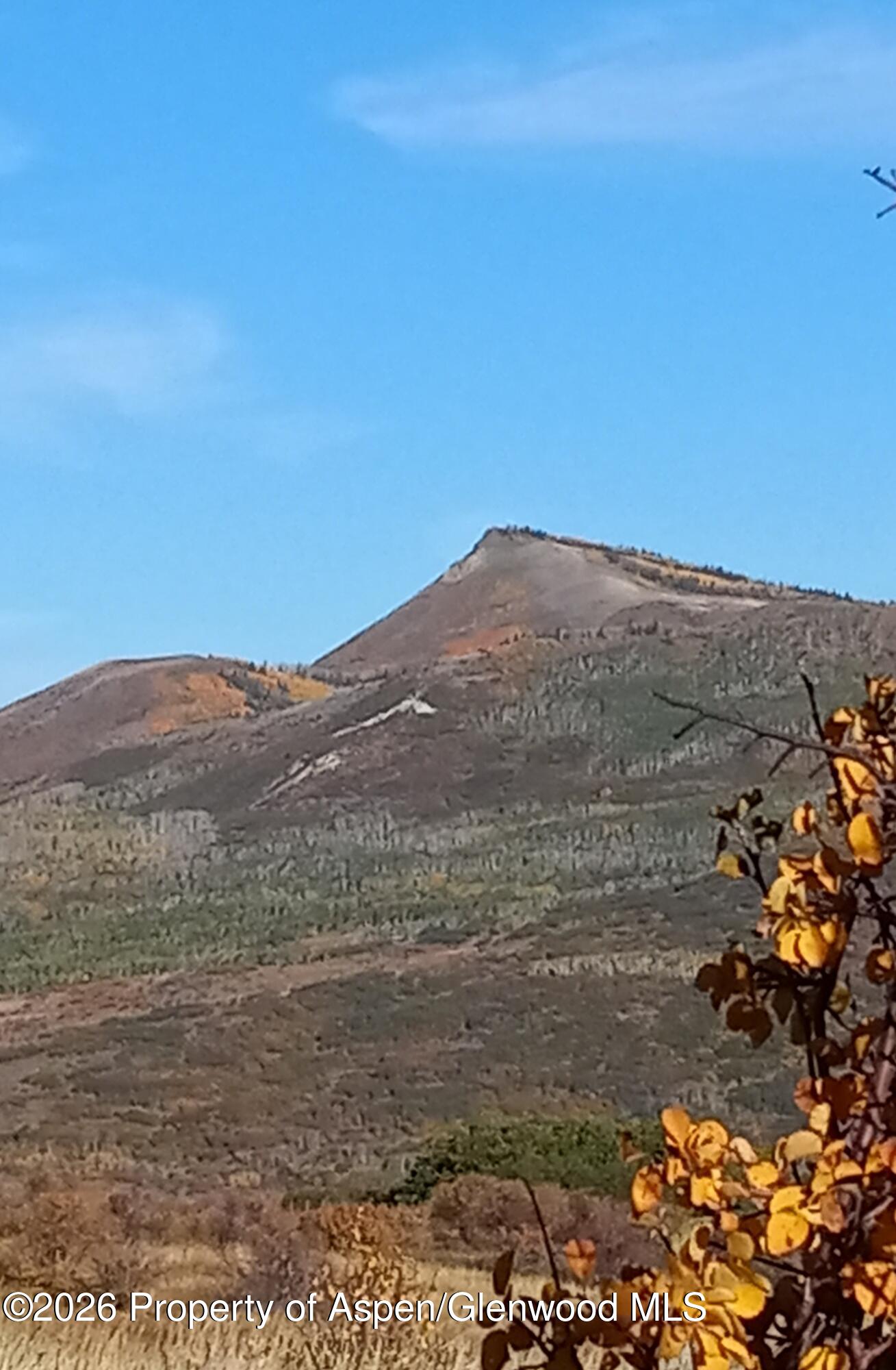 1065 Eagle Loop Craig CO 81625