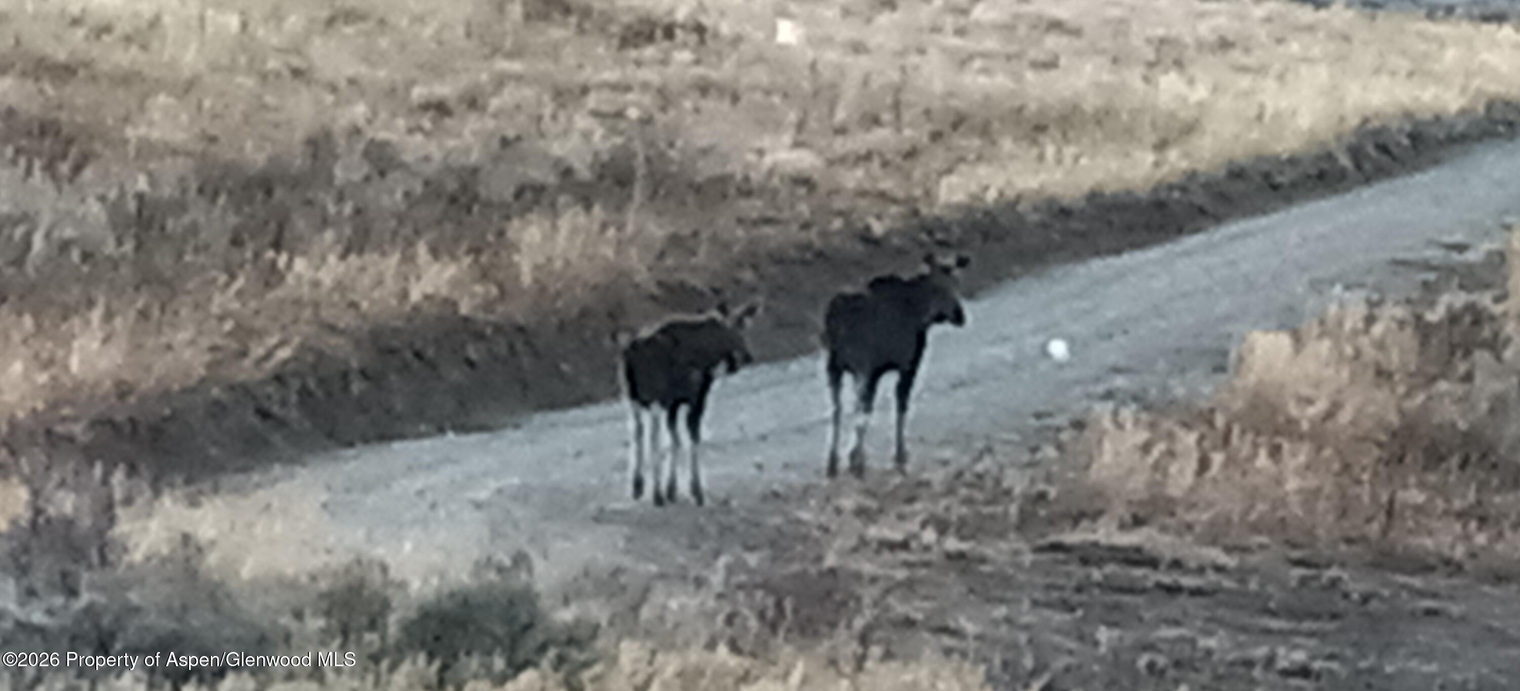 1065 Eagle Loop Craig CO 81625