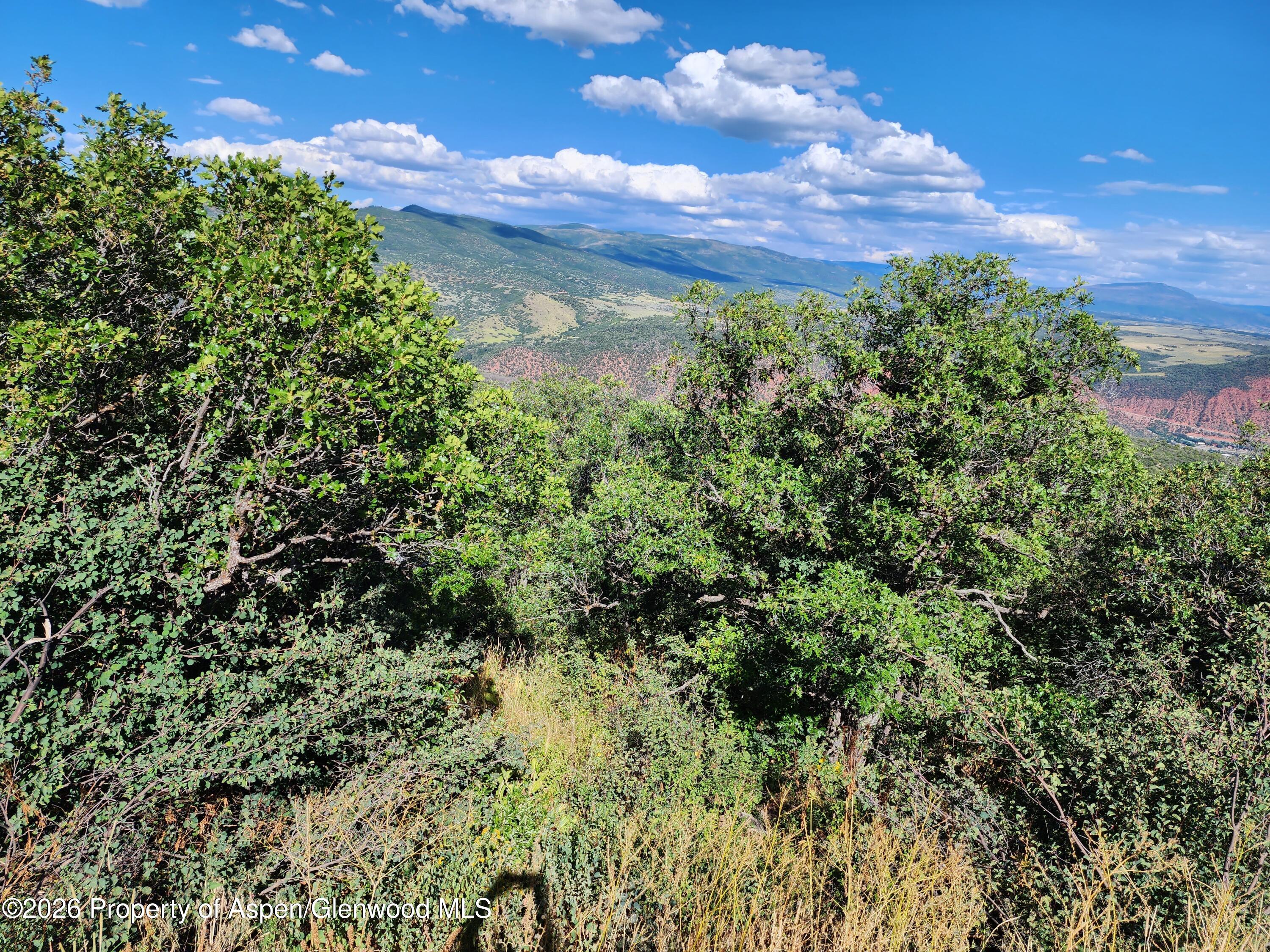 4700 Bear Wallow Lane Glenwood Springs CO 81601
