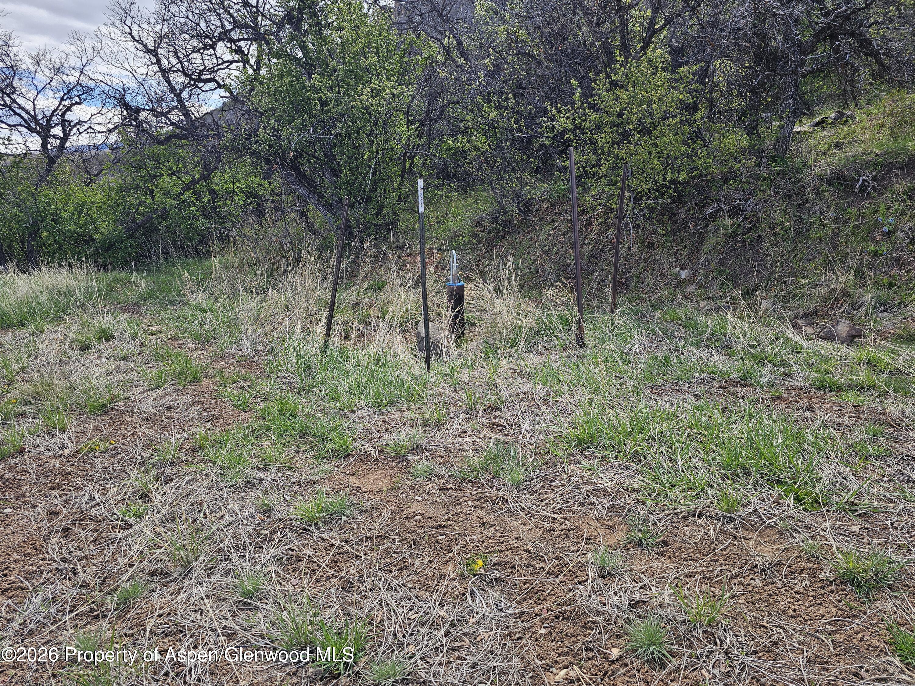 4700 Bear Wallow Lane Glenwood Springs CO 81601