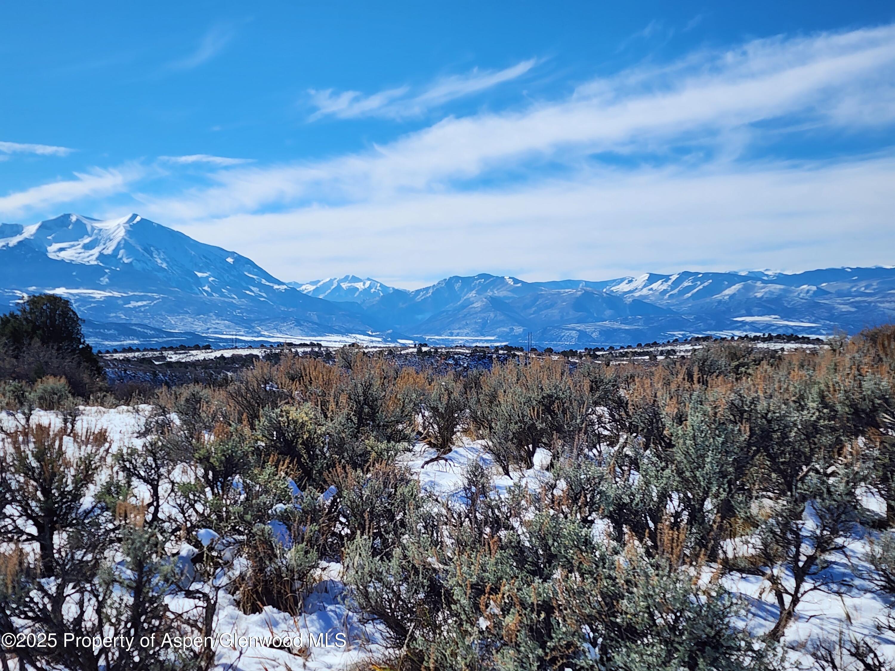 82 Saddle Drive Carbondale CO 81623